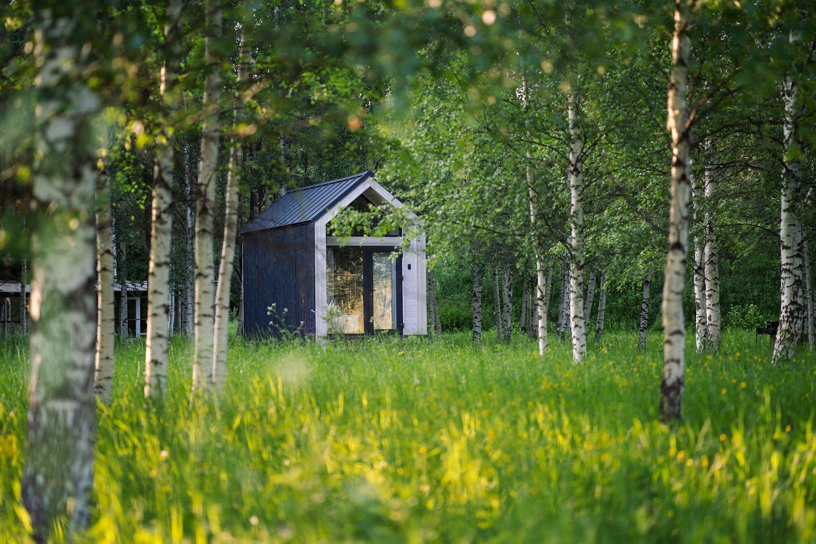 Заповедник впечатлений Тованово - photo 2