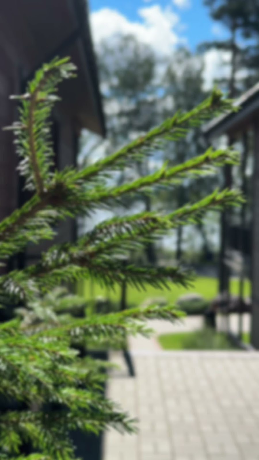 Загородный клуб "Жемчужина" - photo 2