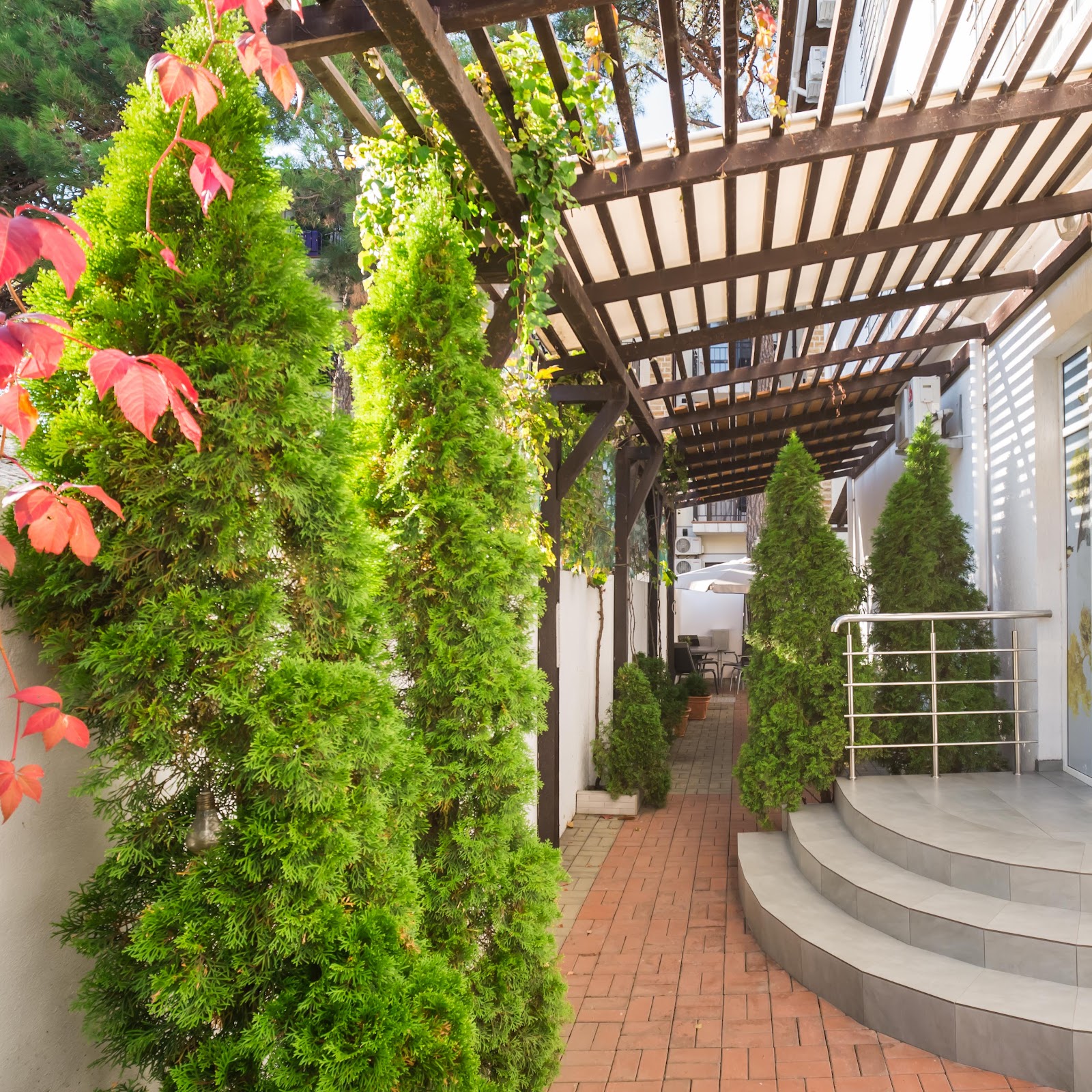 Тельман - photo 5