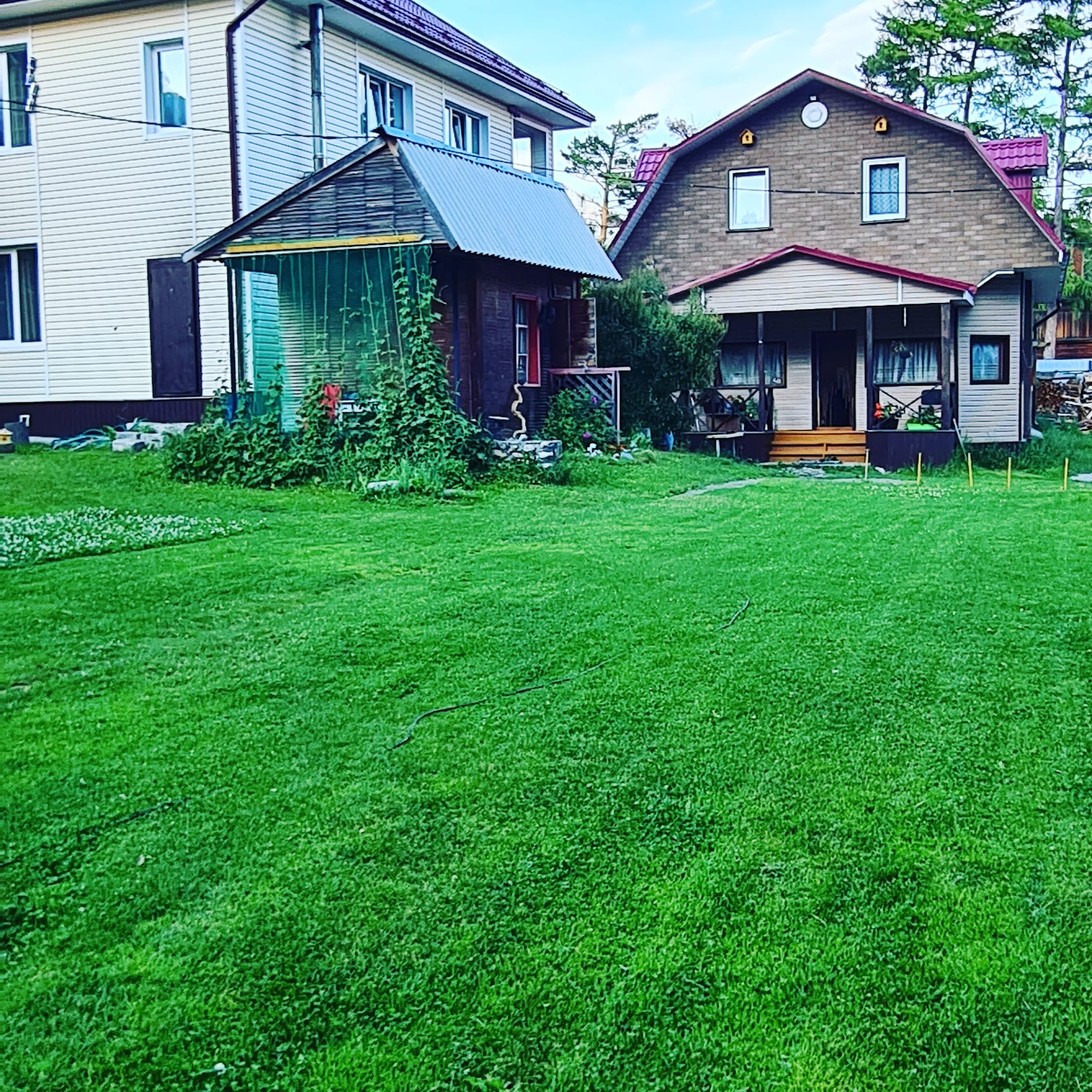 Аршан 50 - photo 1