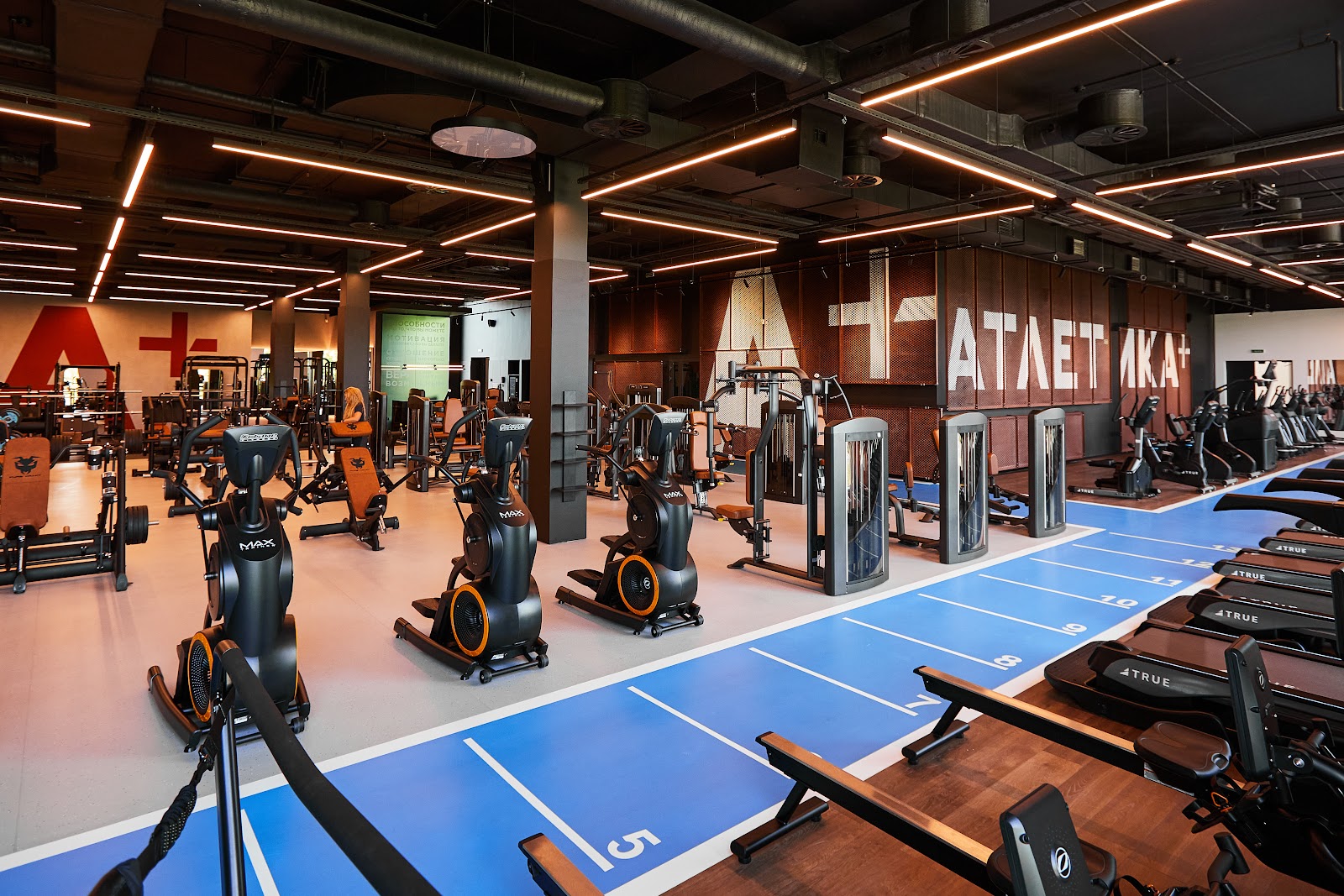 Атлас - photo 3