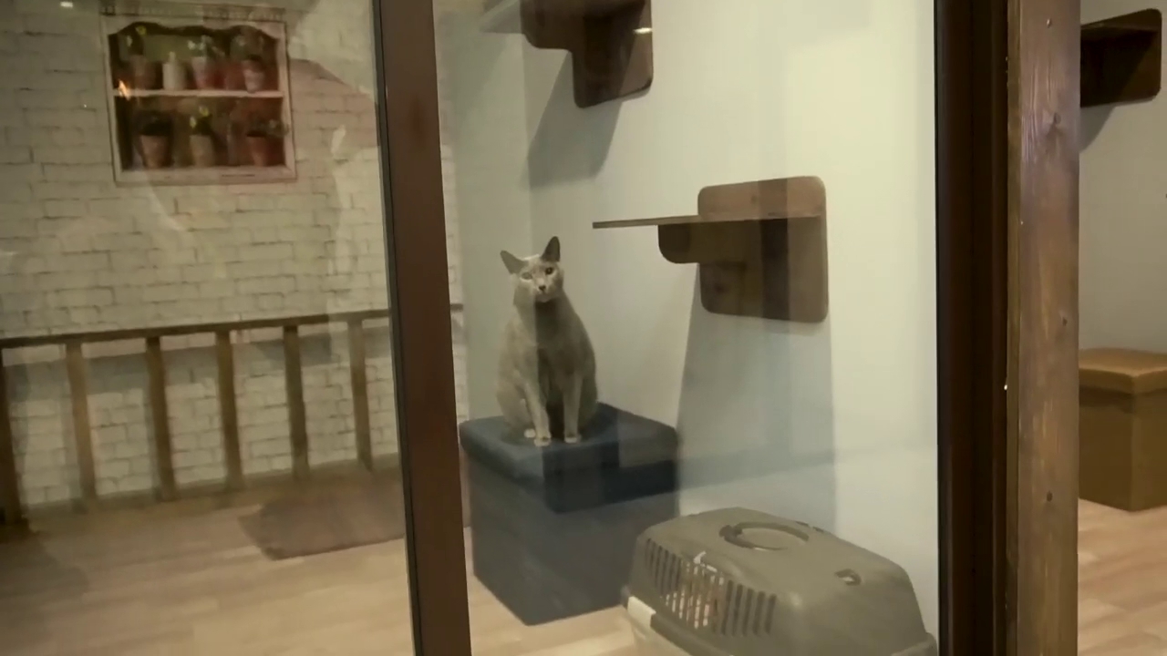 Роял Пэт палас - photo 2