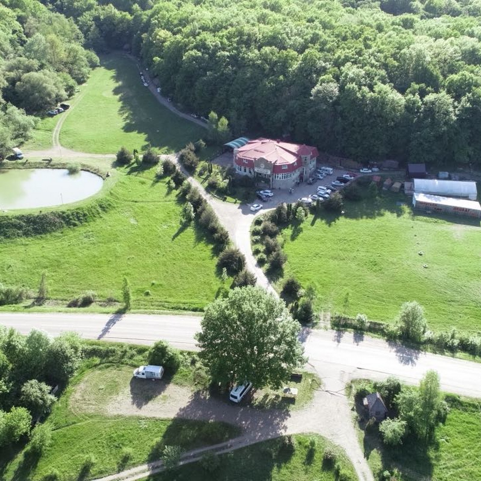 Очаровательная полянка