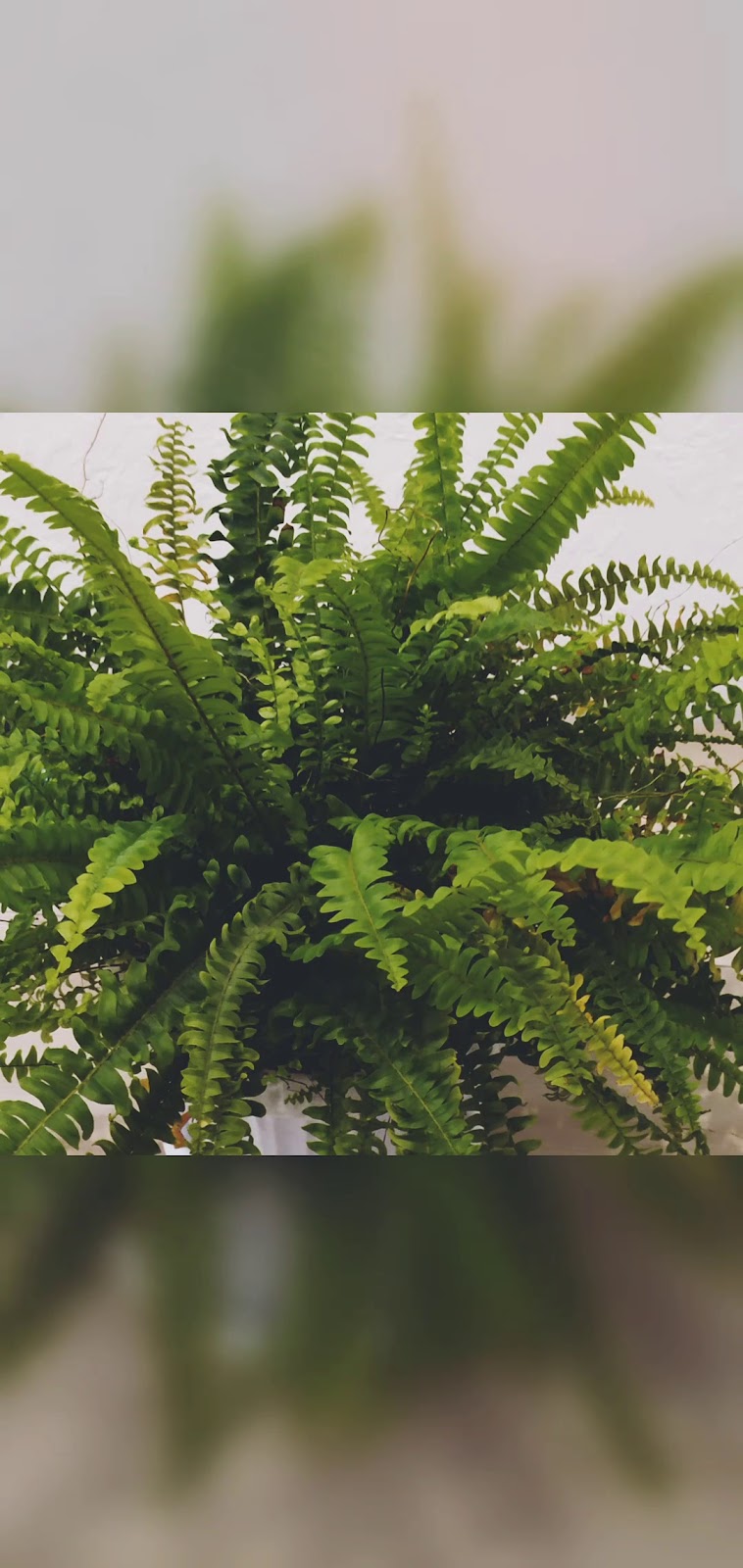 Apartments у Политехнической - photo 3