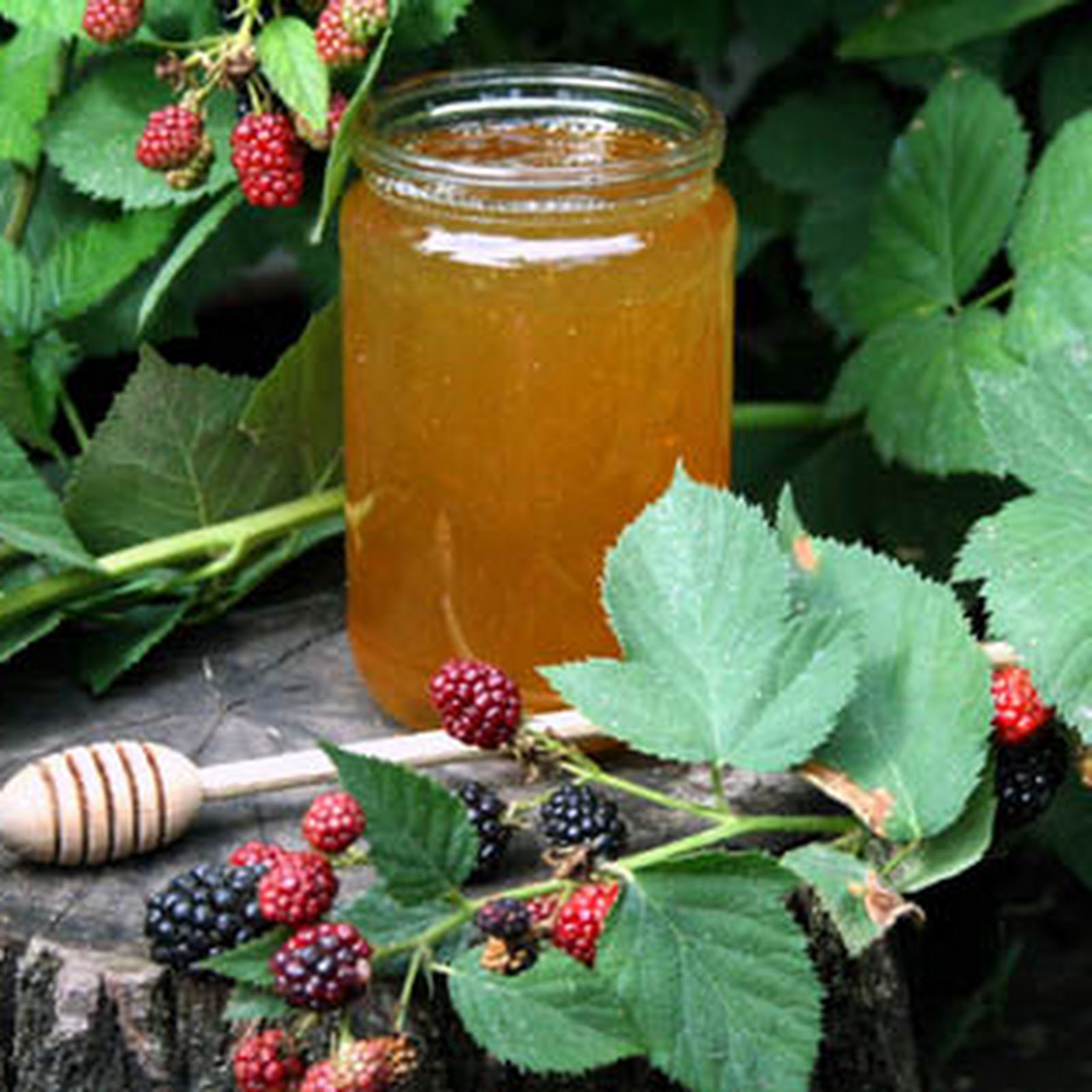 Медицинский - photo 3