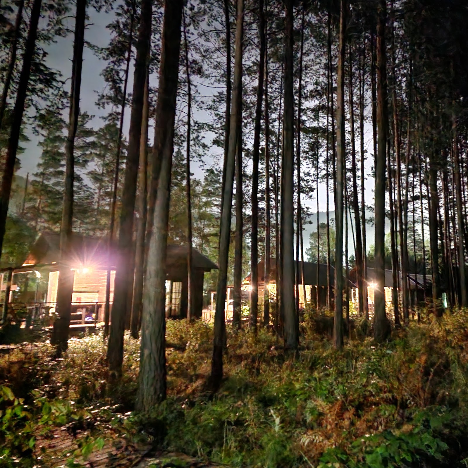 Царство Света - photo 5