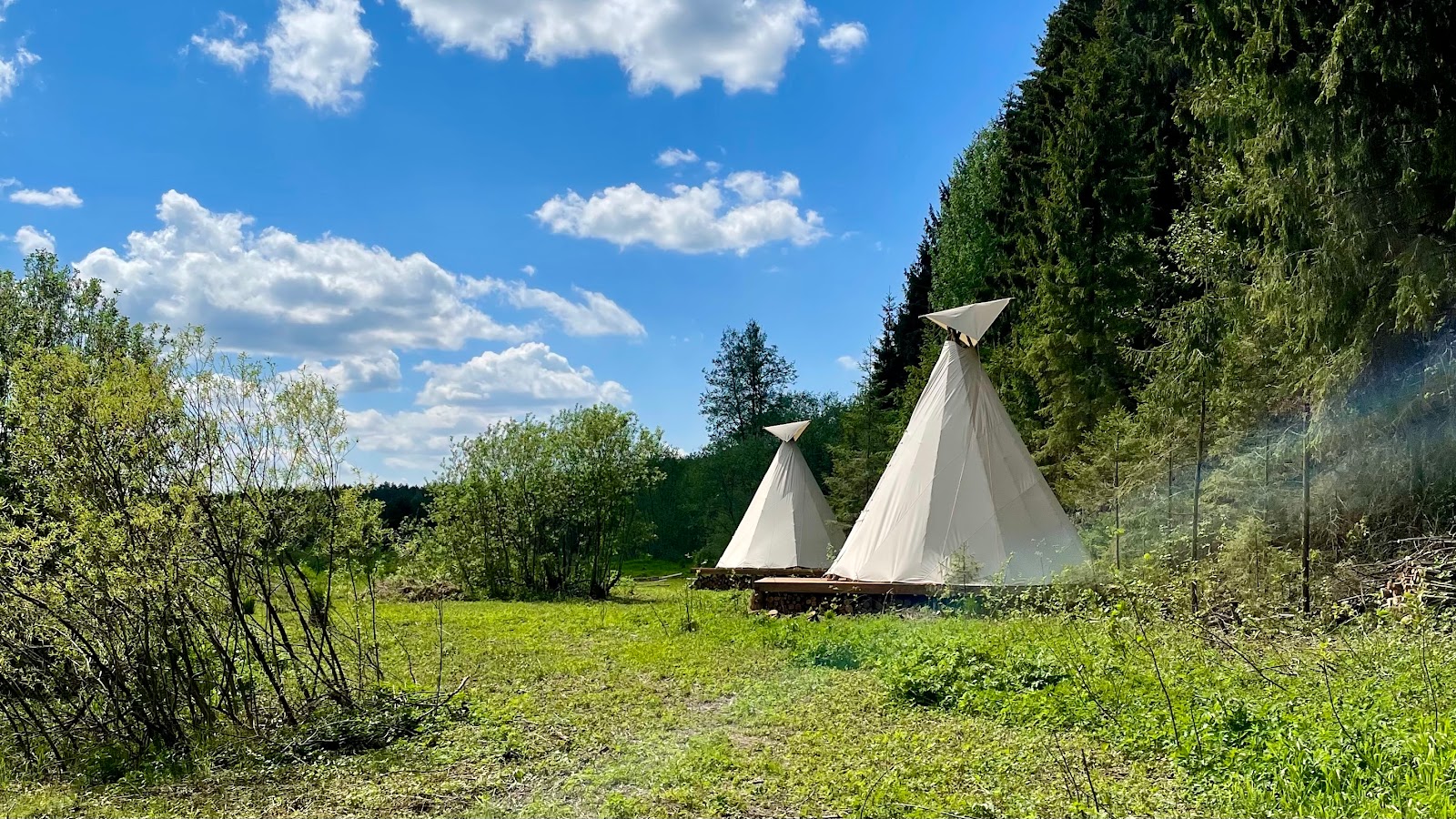 Эко-парк "Просто огонь" - photo 5