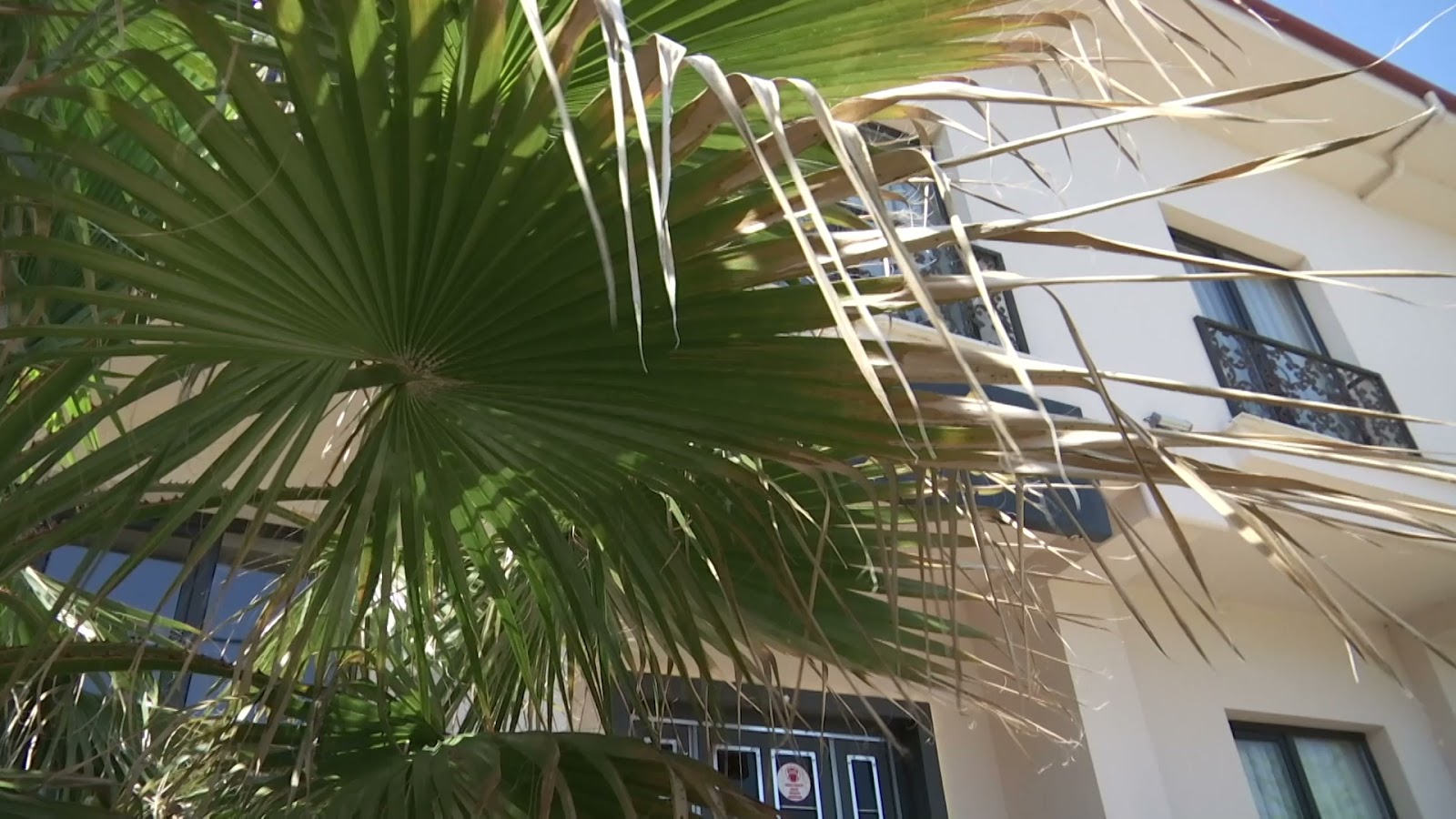 "Smile" отель - photo 4