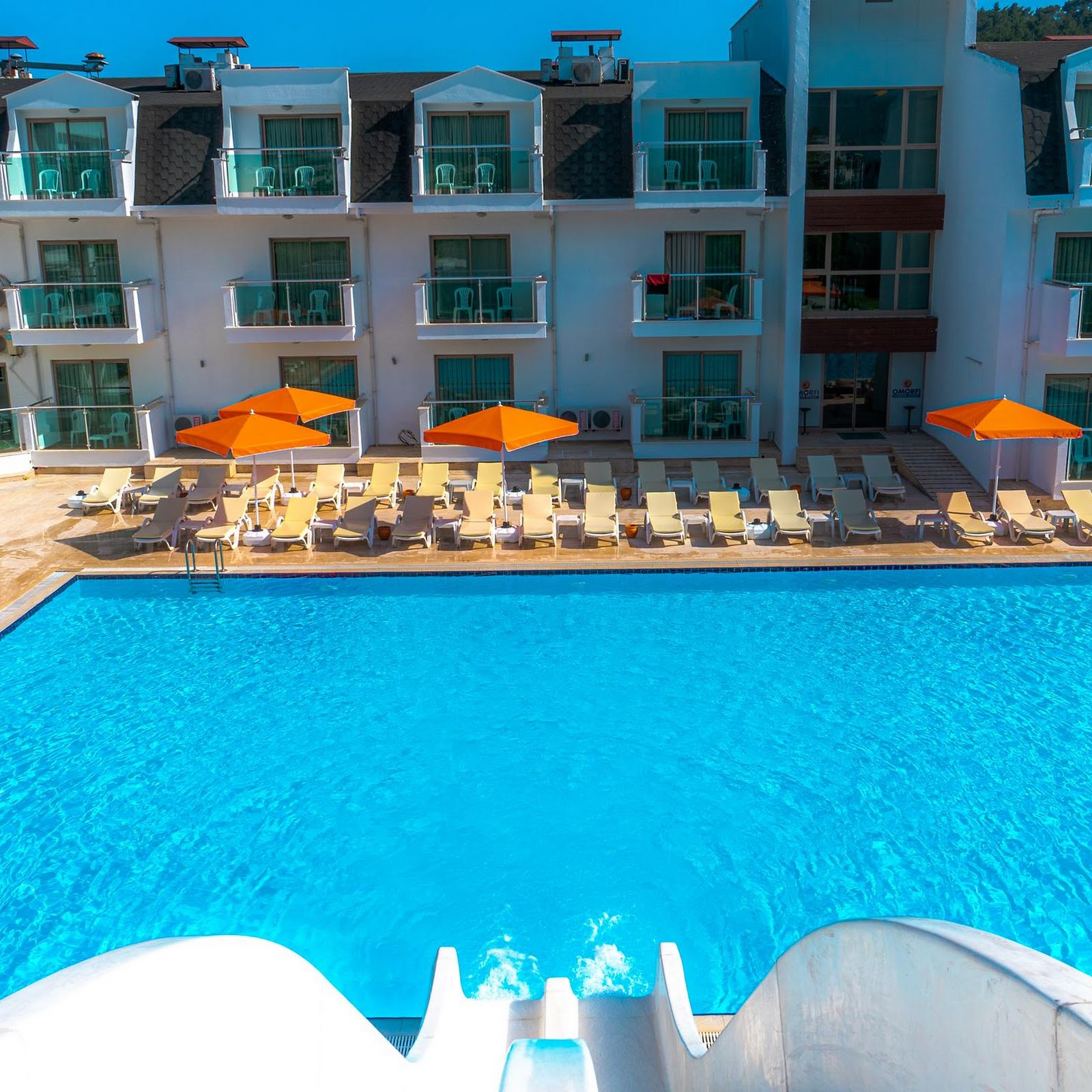 Форест - photo 4