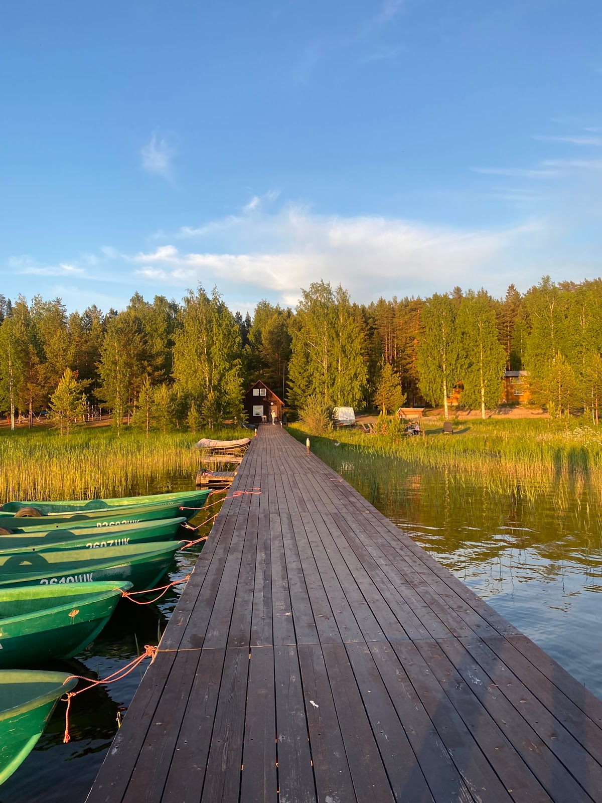 Шишки - photo 5