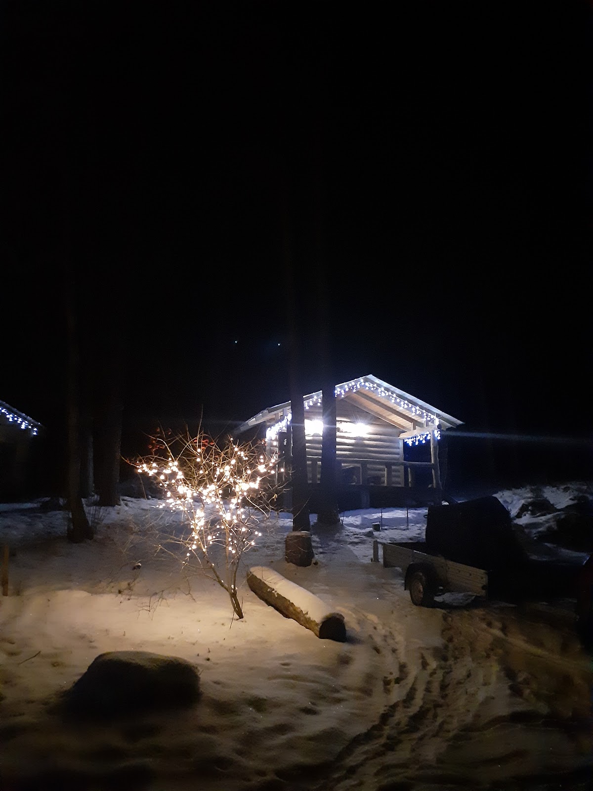 База отдыха ЁЛКИ ПАЛКИ