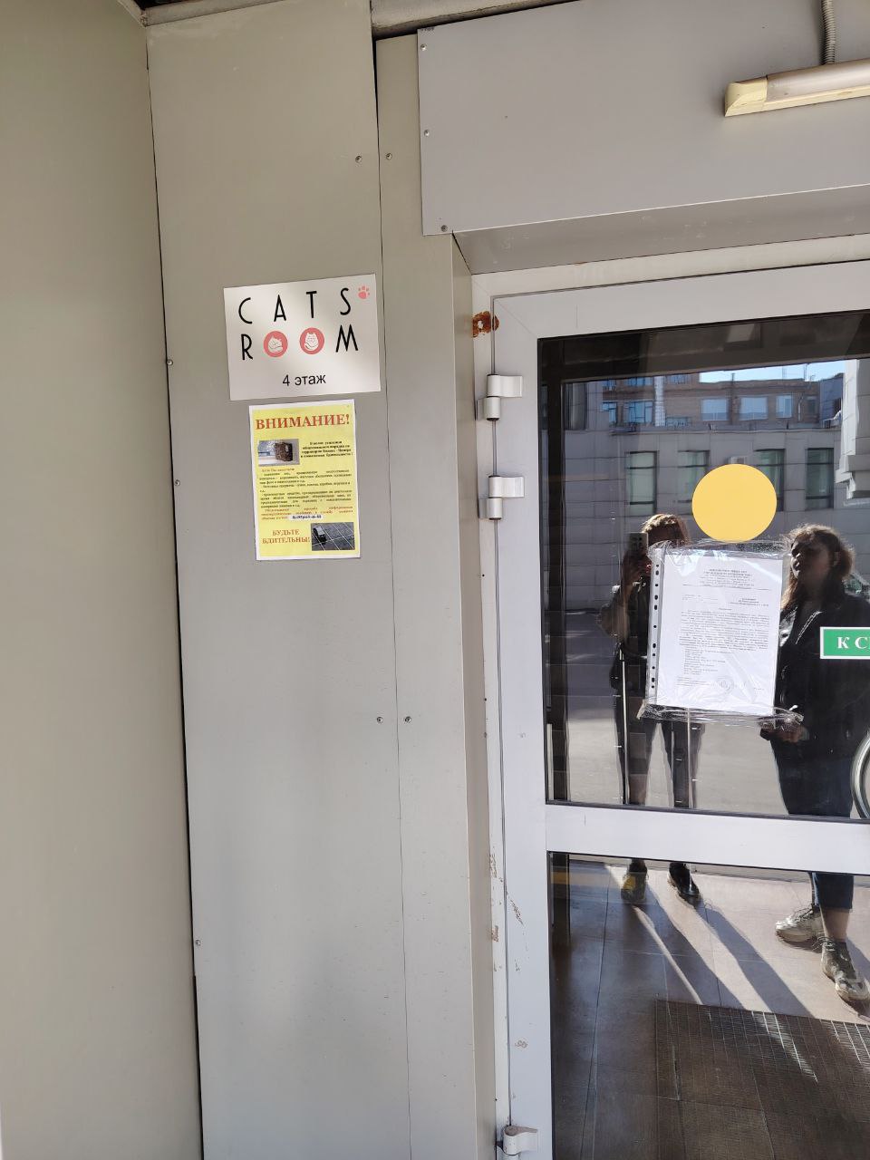 Cats` Room | Отель для кошек Нижегородская | Гостиница для животных, передержка кошек, зоотакси - photo 2