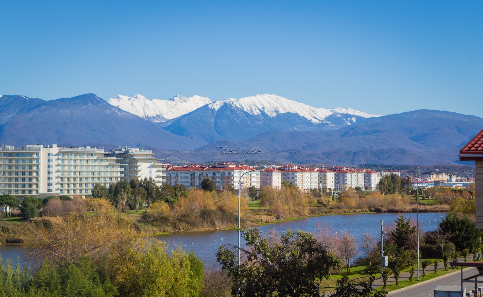 Лидер - photo 5