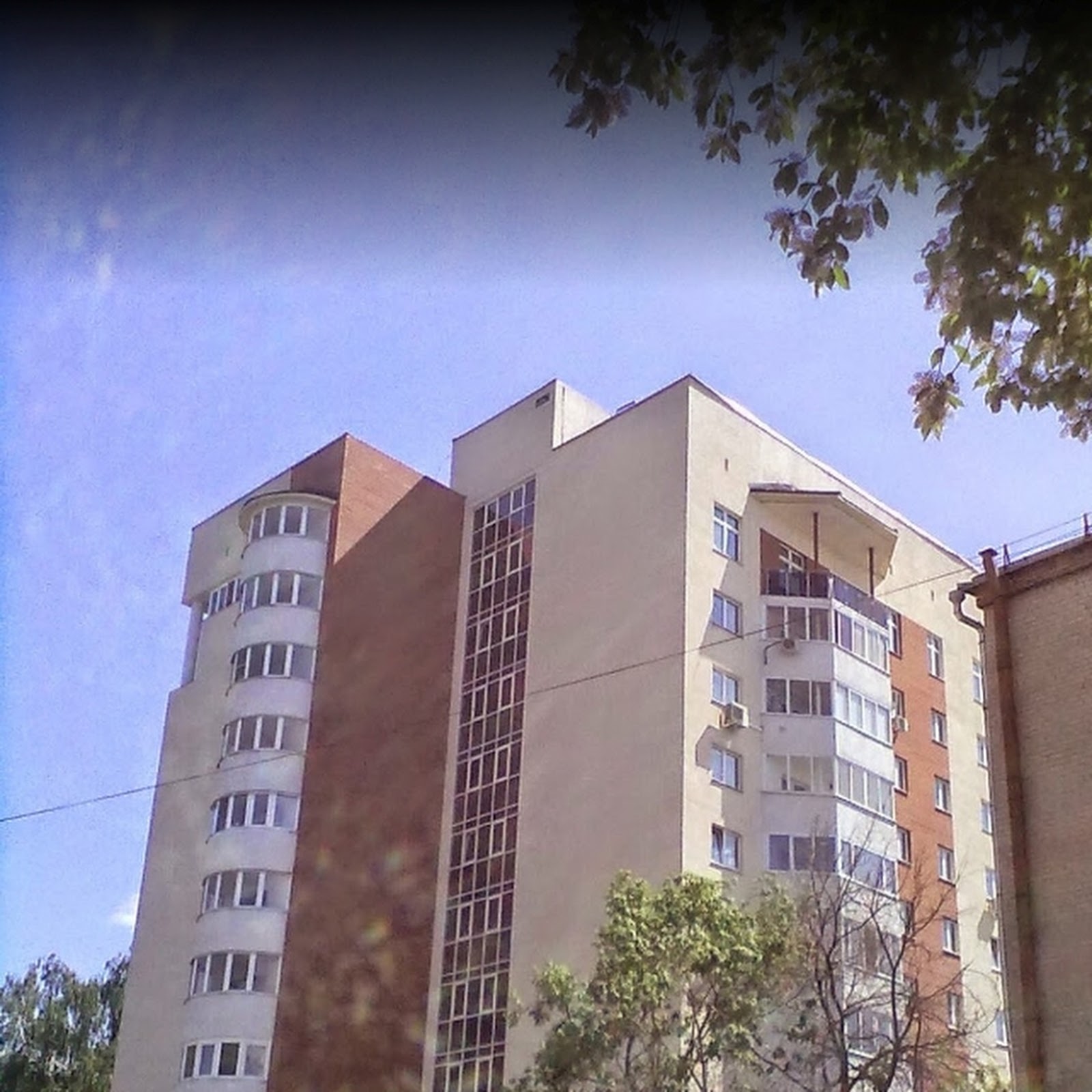 Трансагентство - photo 5