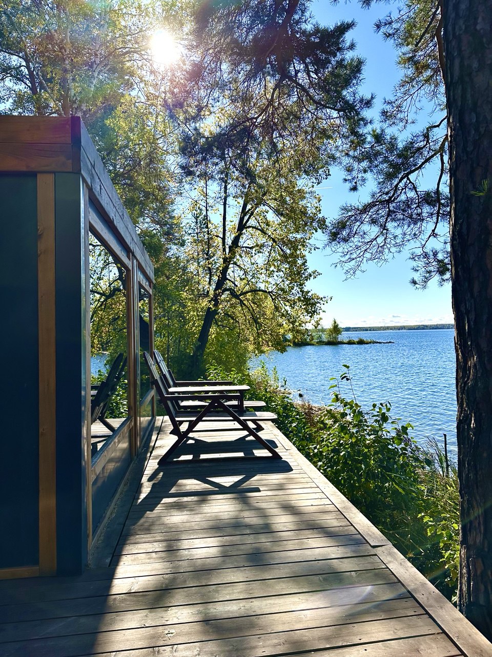 Лесная сказка - photo 2