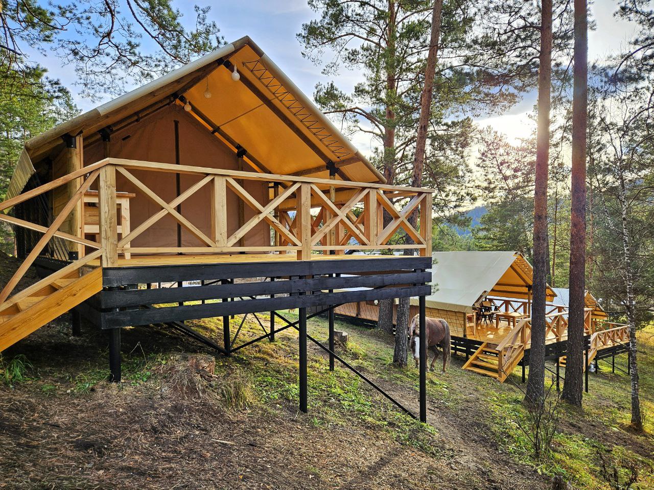 Вдохни Алтай