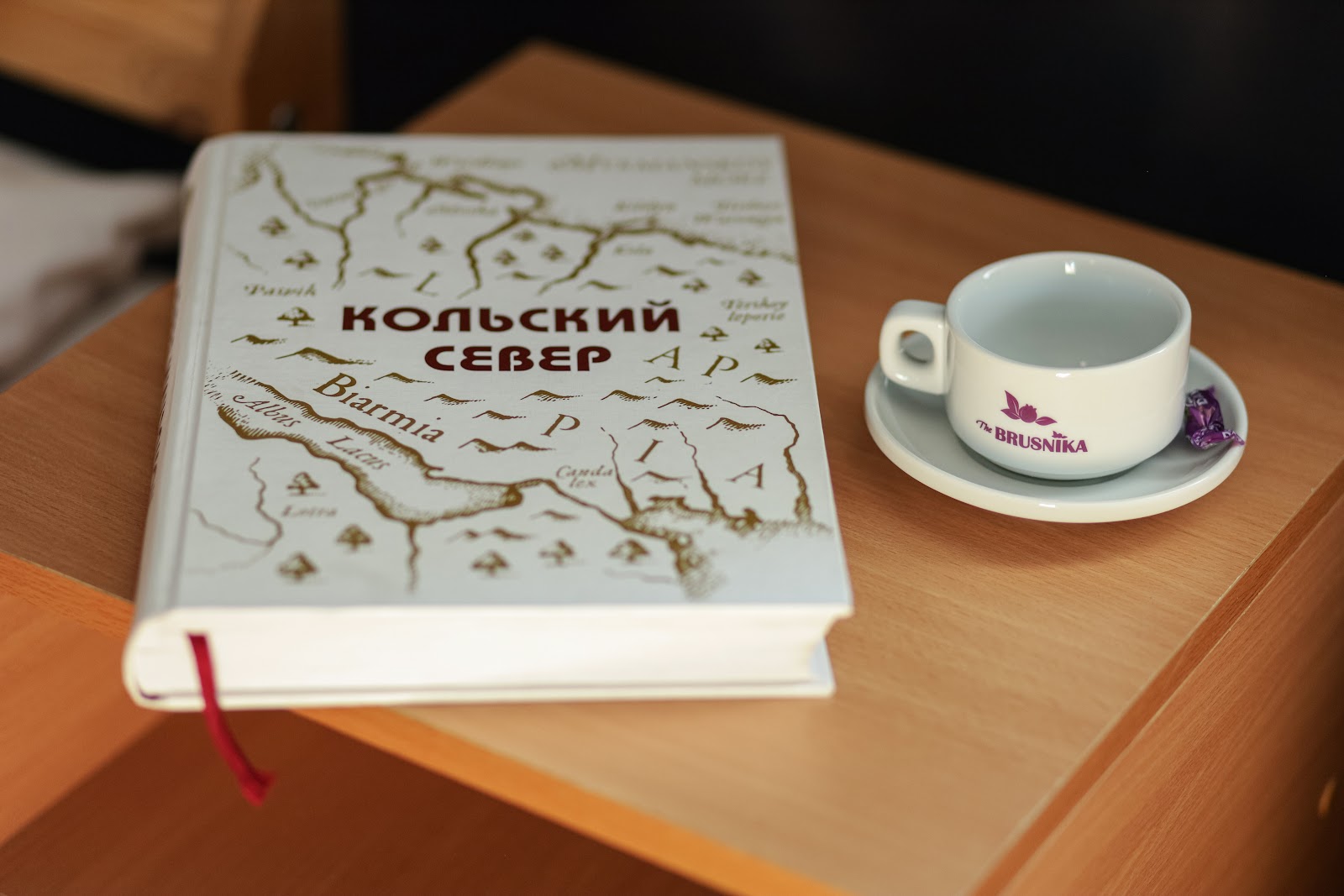 Мини-отель The Brusnika - photo 4