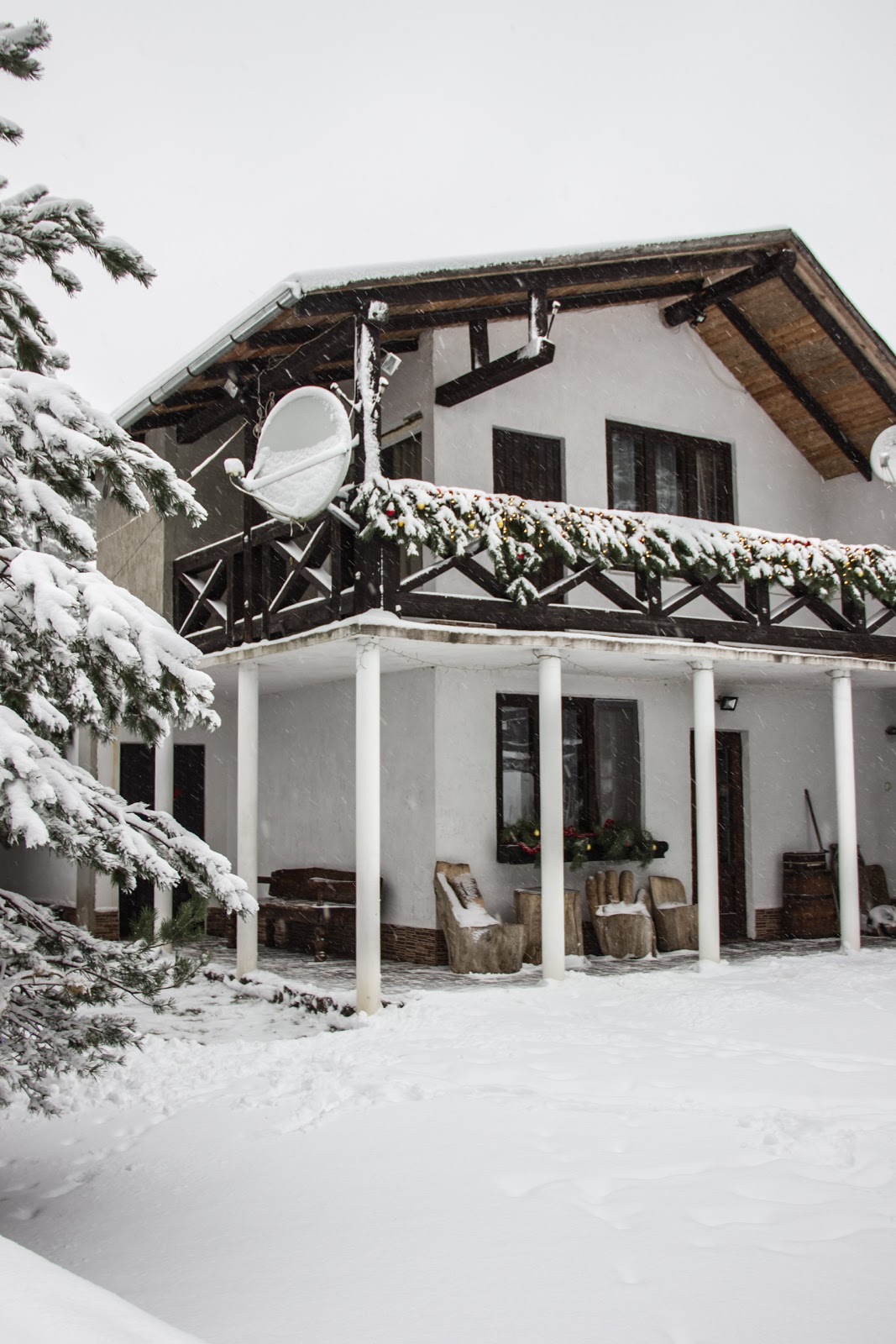 Угоринка-3 - photo 2