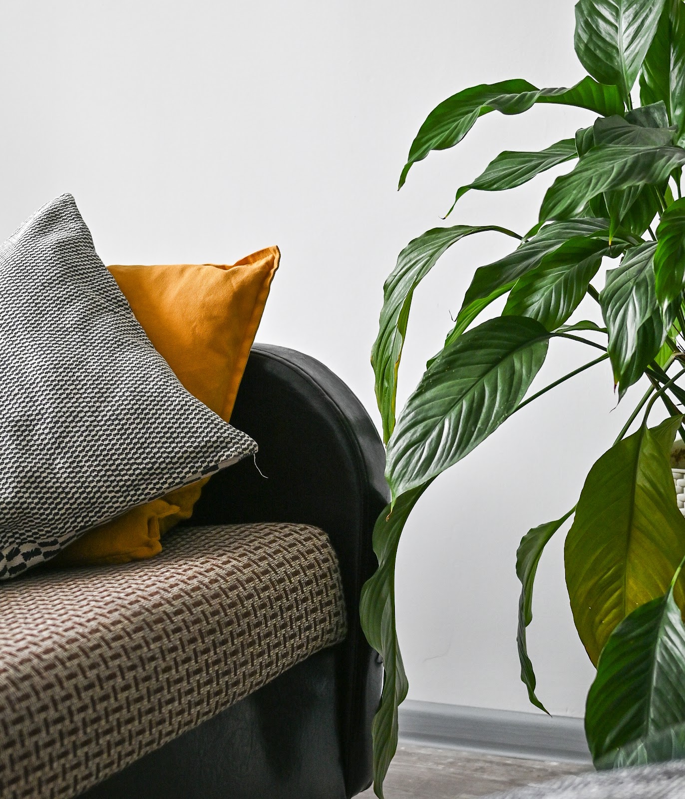 САМПО - photo 5