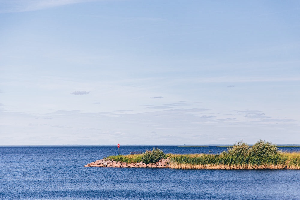 Загородный отель Плесков - photo 2