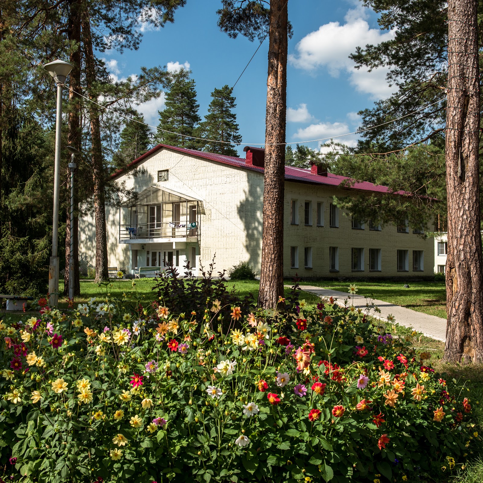 Санаторий "Сосновый бор" - photo 2