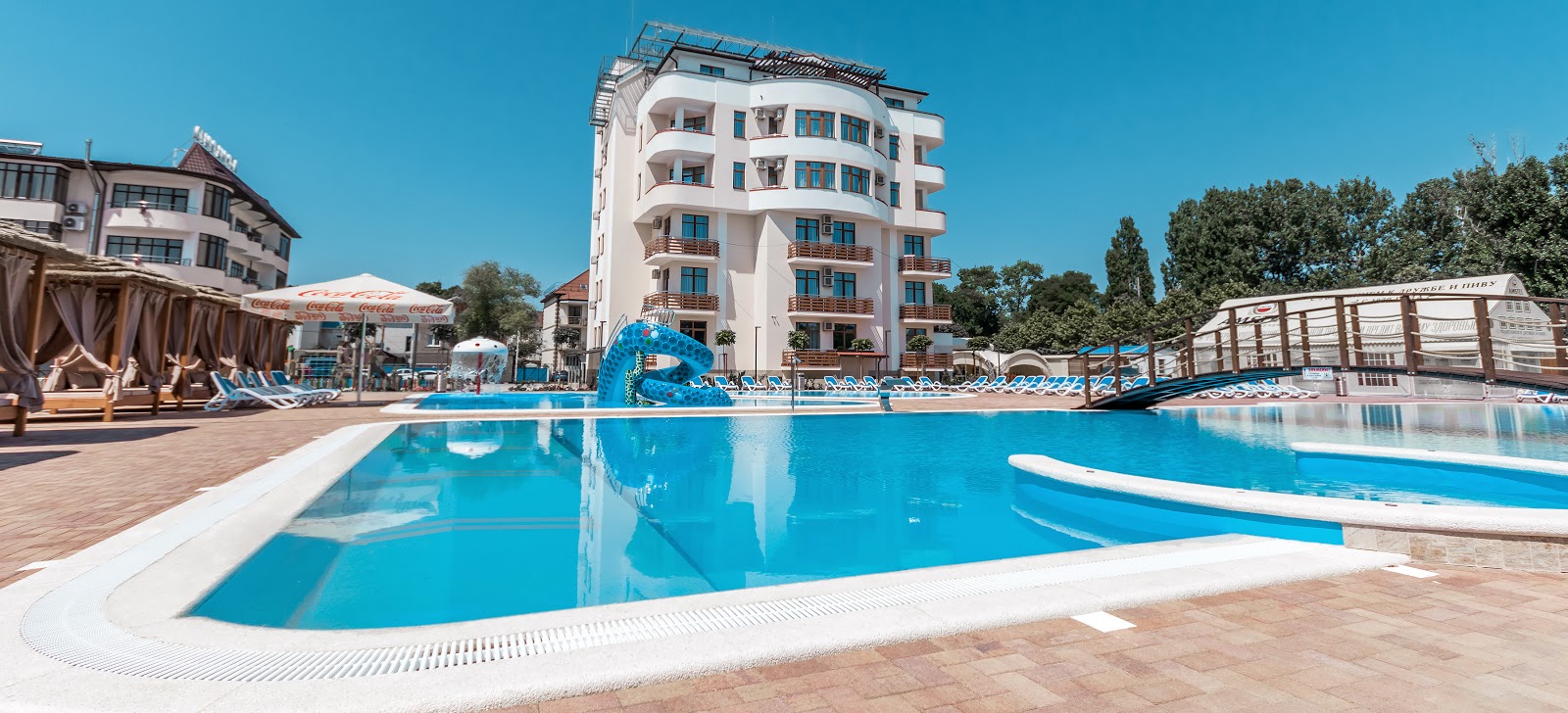 Роза Ветров Новая - photo 2