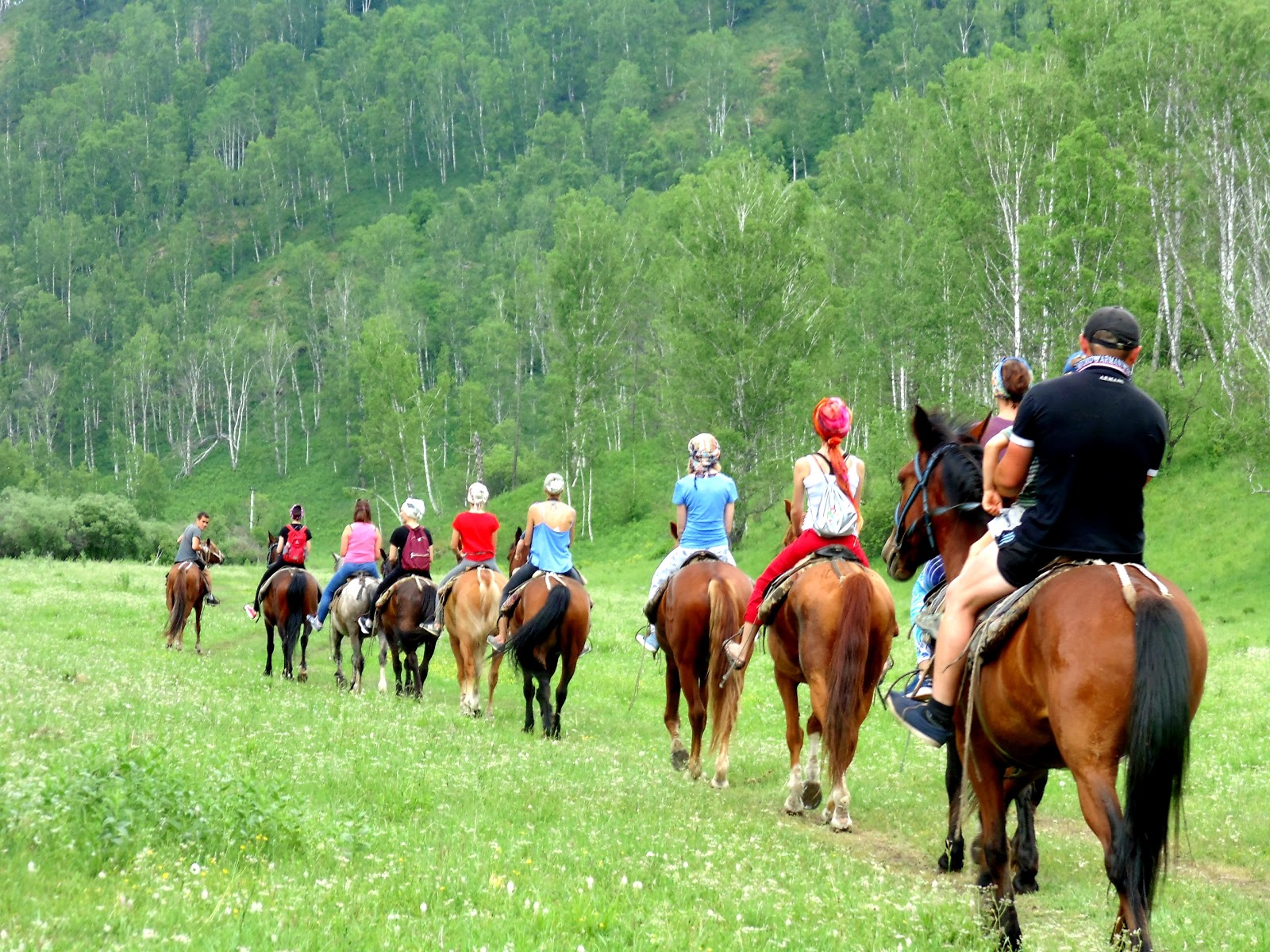 Конные прогулки на Алтае от Чедоев привал
