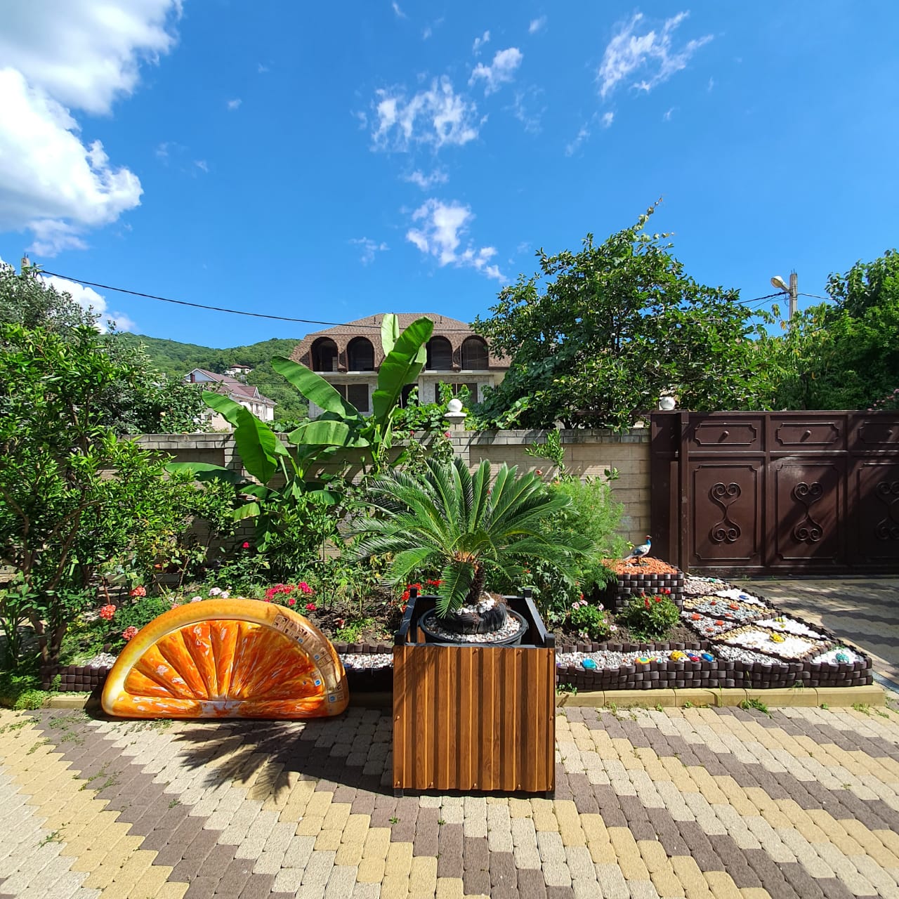 Мандарин - photo 3