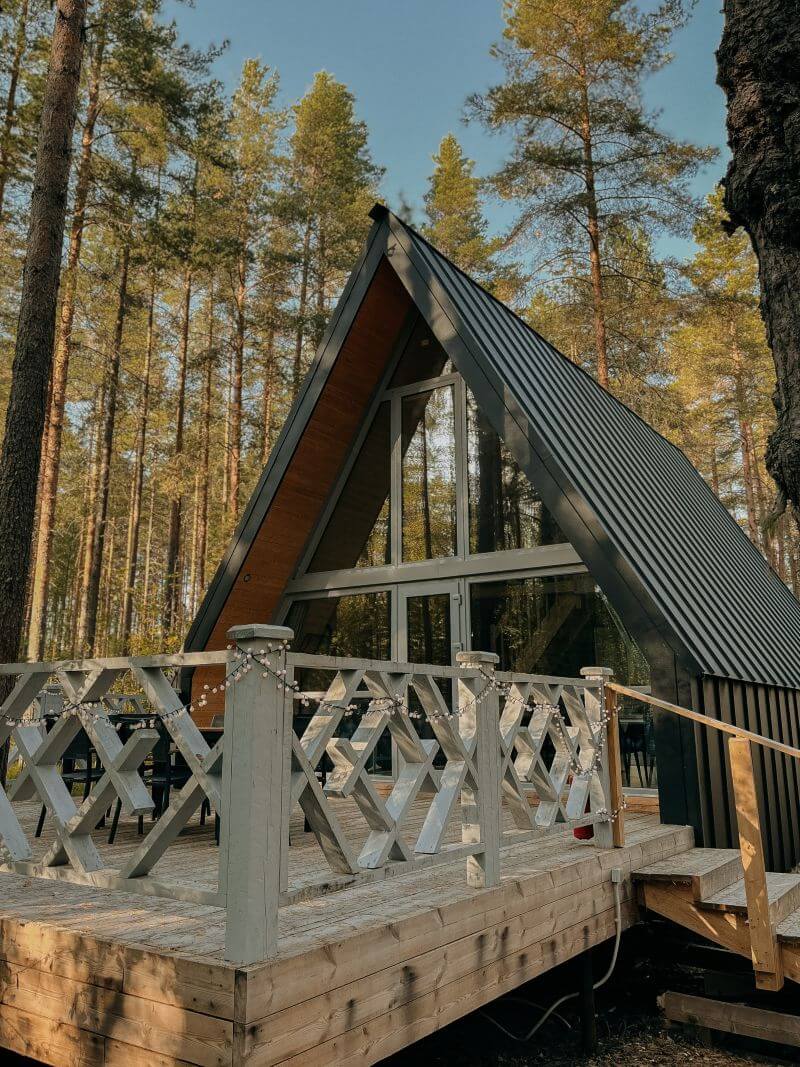 Хвоя Карелия