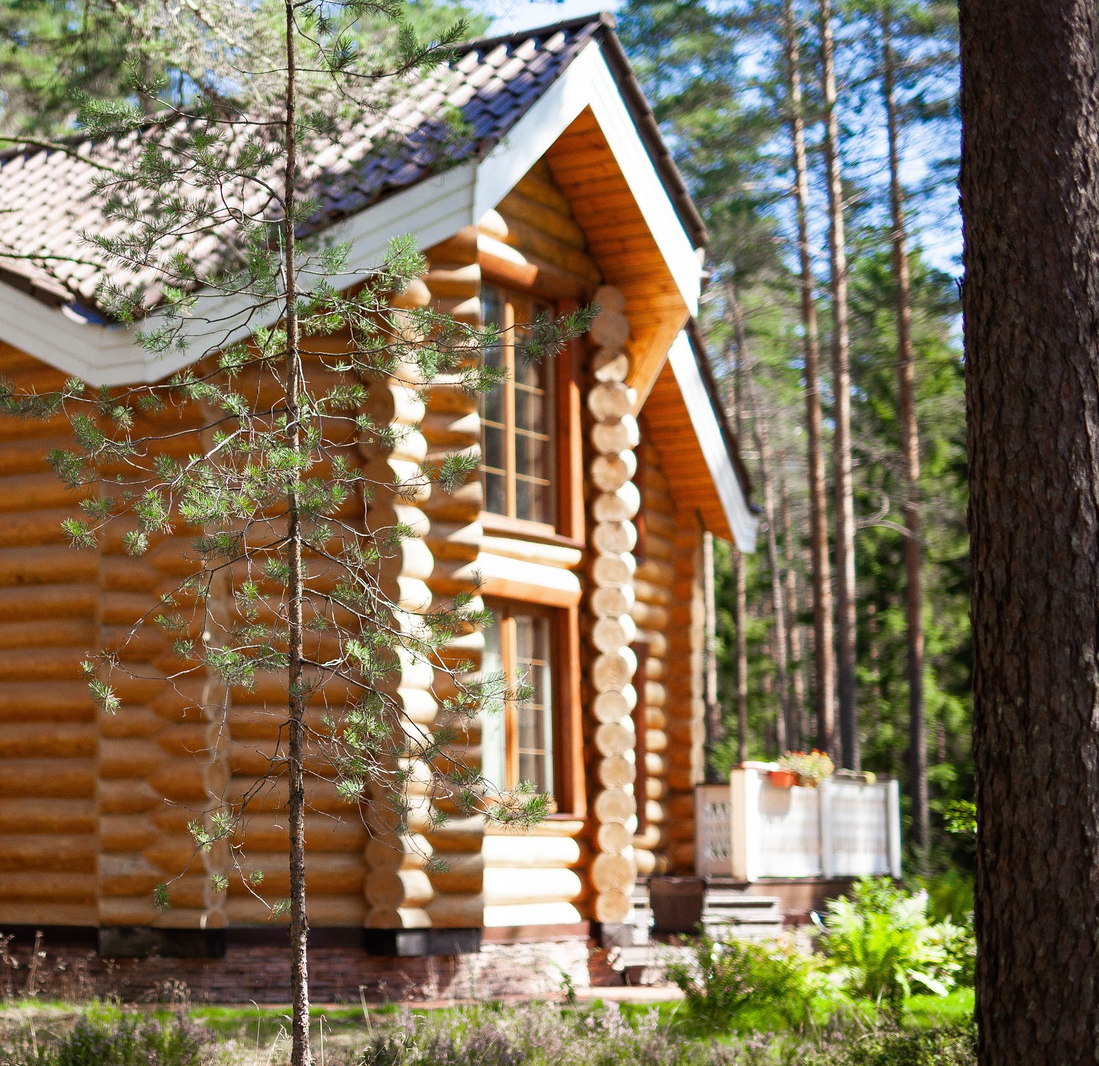 Морошка Эко Вилладж - photo 2