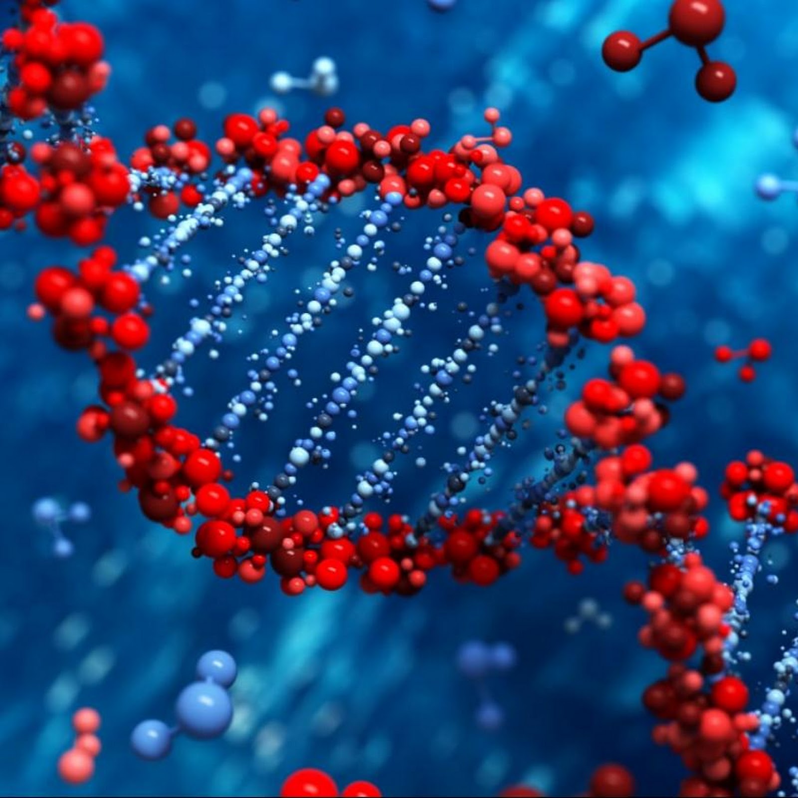 Туапсе - photo 3