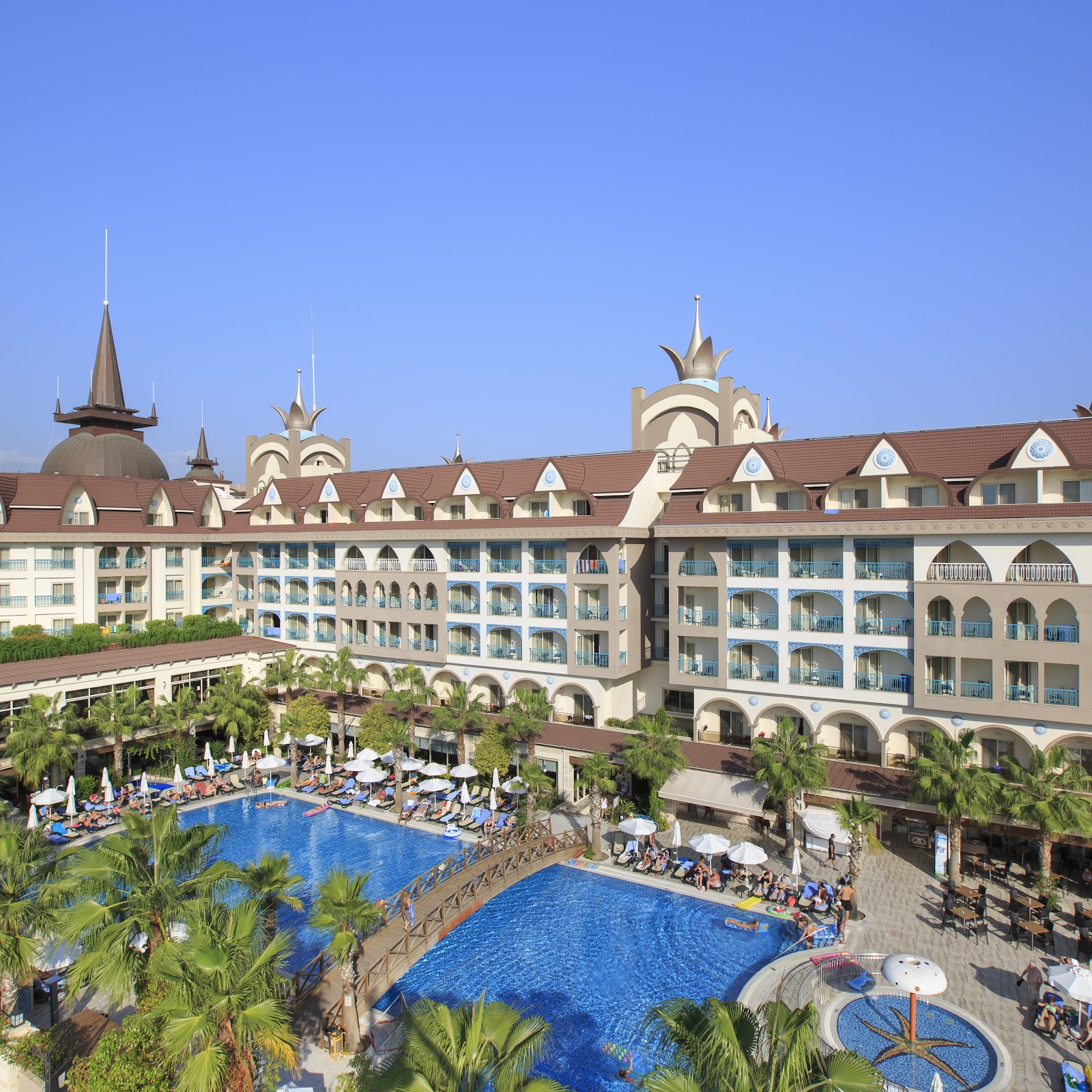 Вербена - photo 5