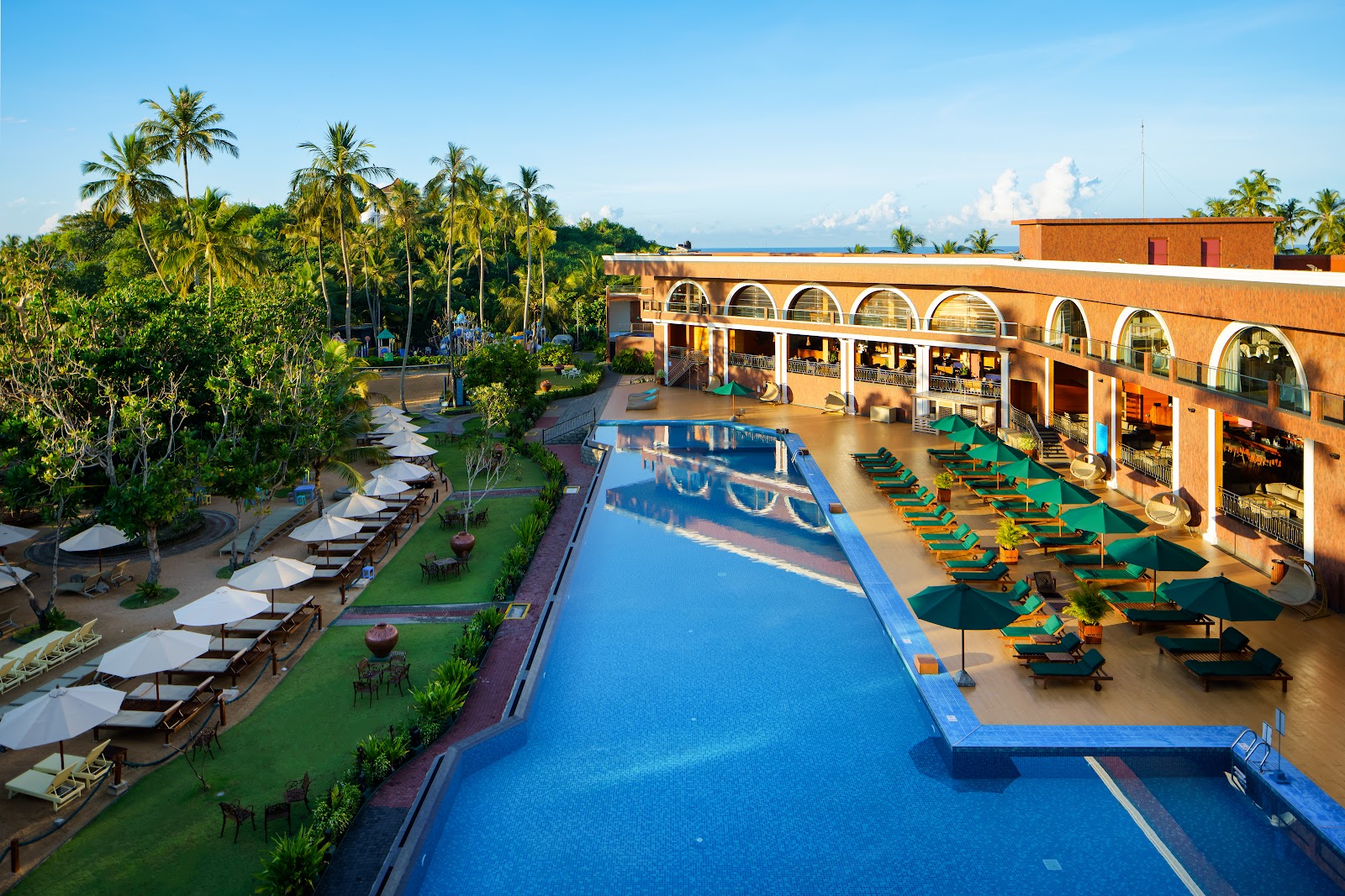 Аралия - photo 2