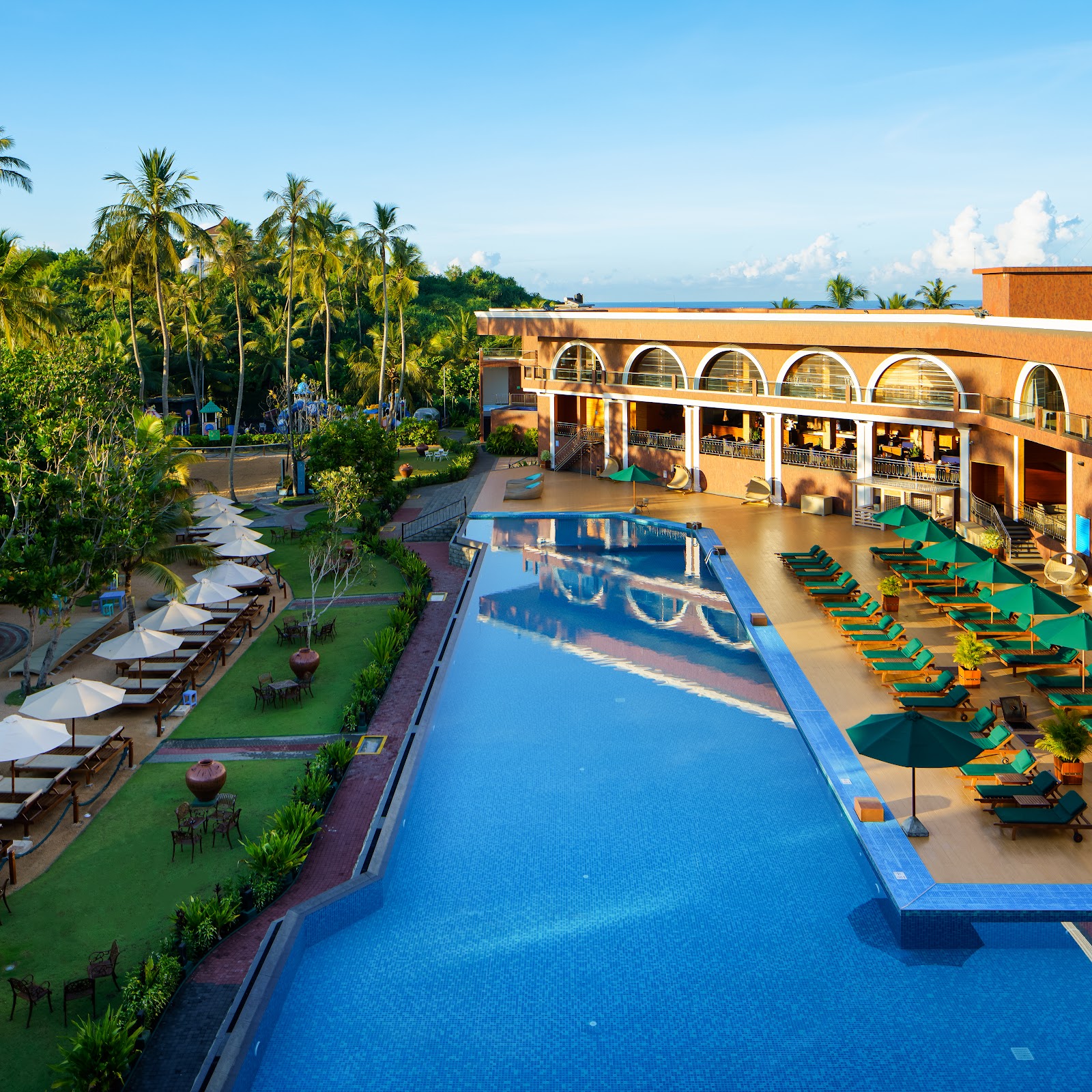 Аралия - photo 1