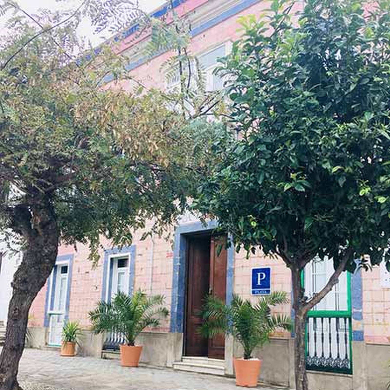 Хостел Африка - photo 3