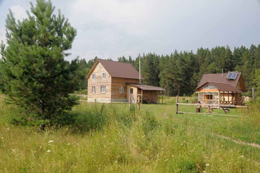 Лесная благодать - photo 2