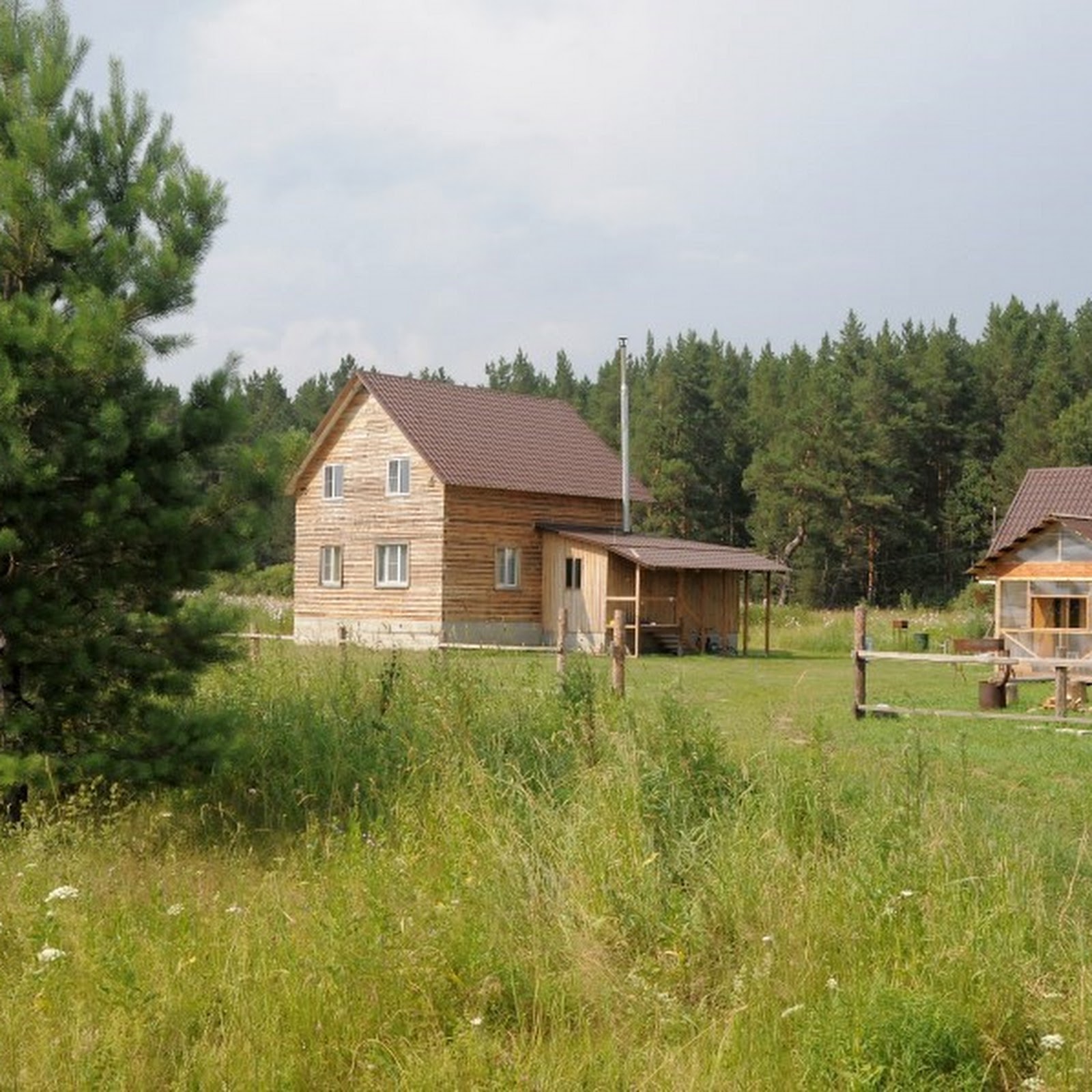 Лесная благодать