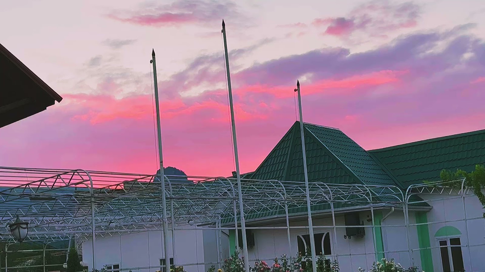 Астория - photo 4