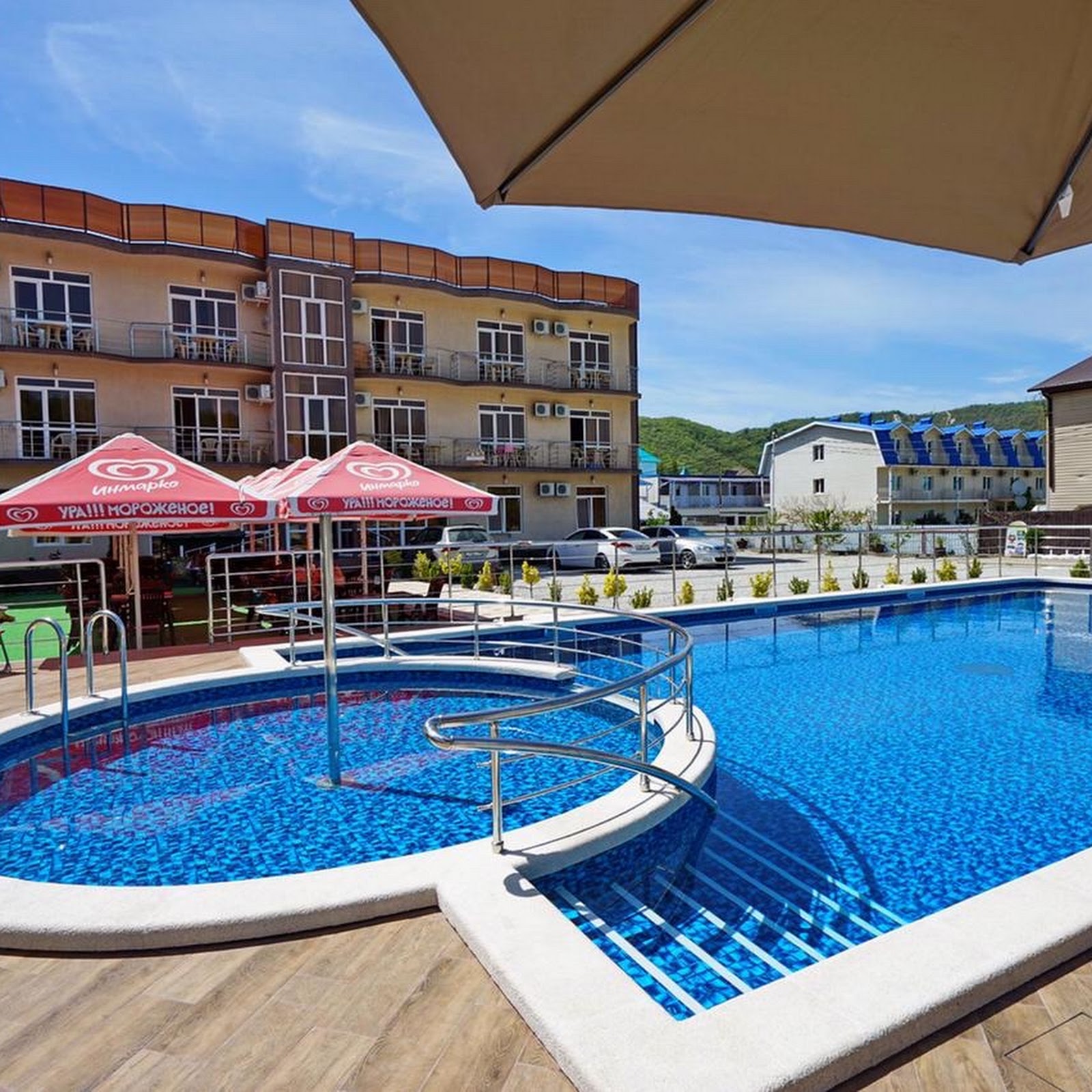 Анютины глазки - photo 5