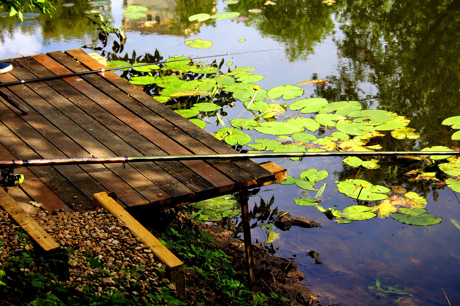 Гостиница Apart Premium - photo 4