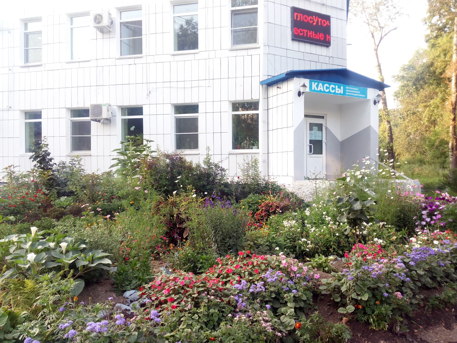 Чайка - photo 3