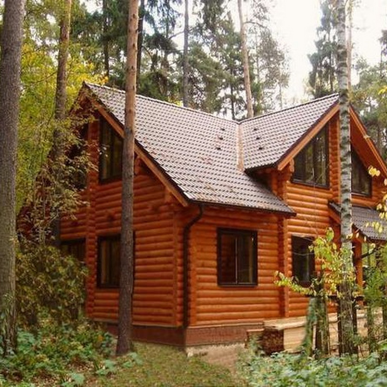 Сибирская усадьба - photo 2