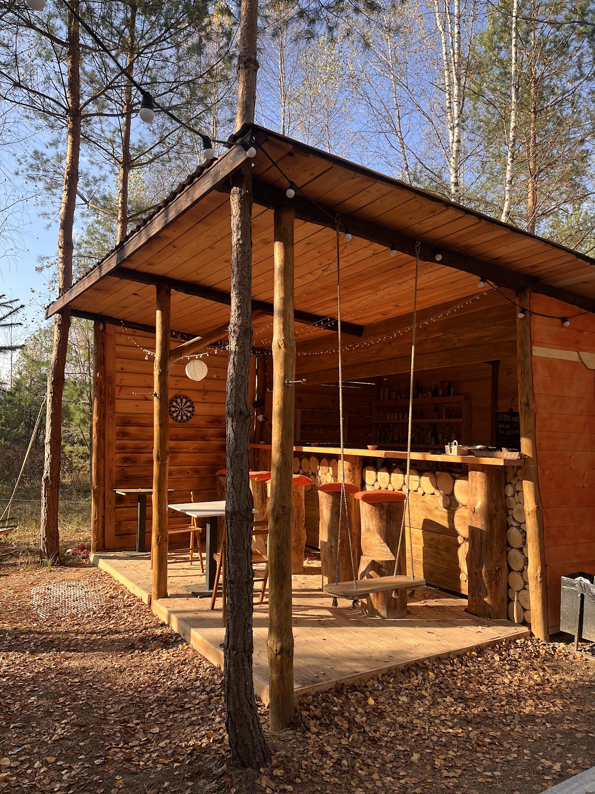 Звездный лес - photo 2