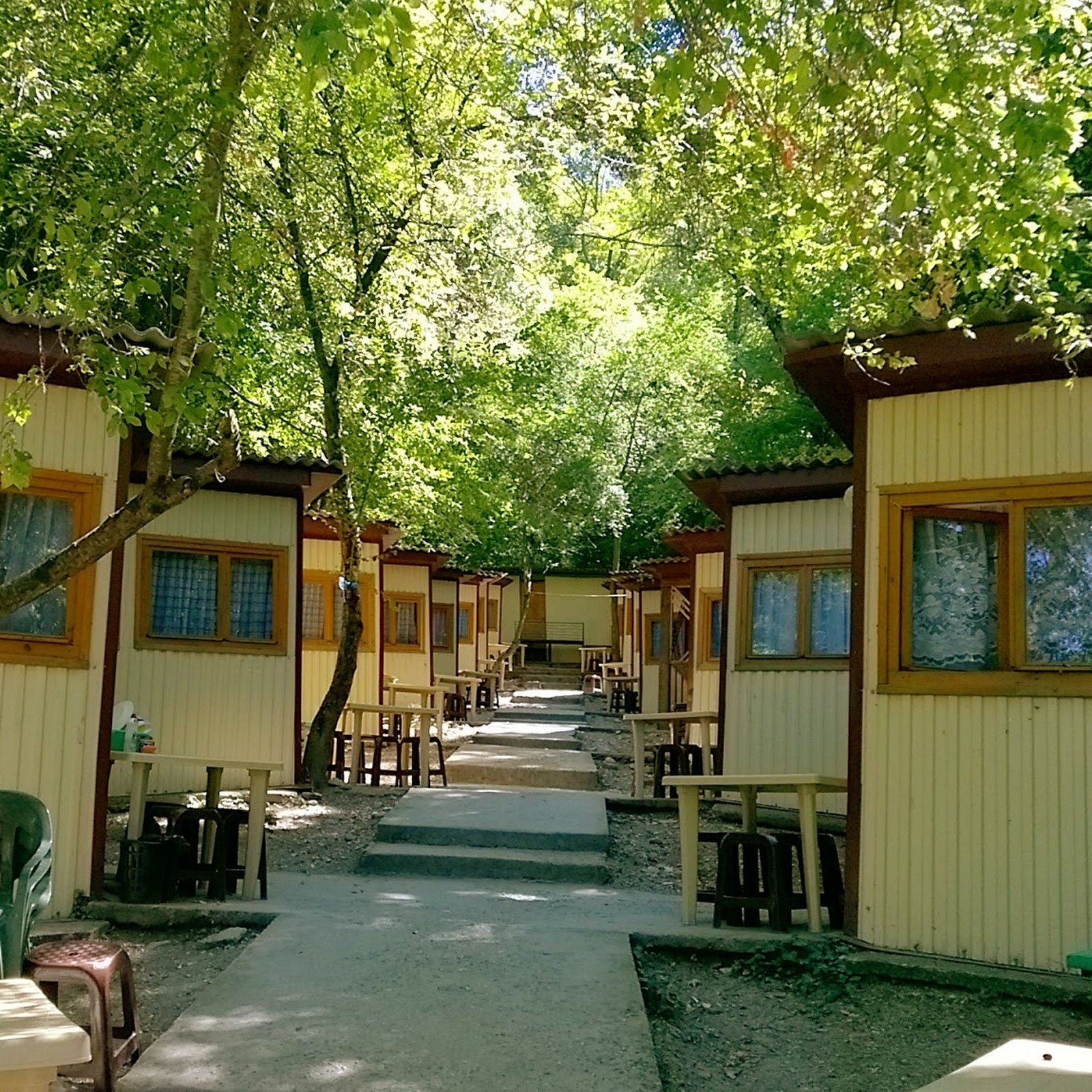 Панс. Джанхот - photo 2