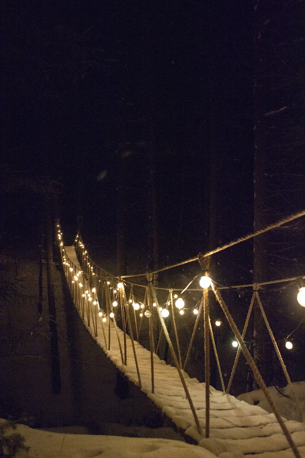 Глэмпинг IMA - photo 3