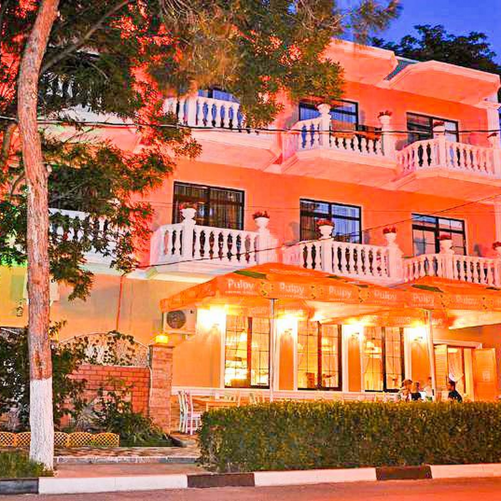 ЮЖНАЯ РОЗА - photo 4