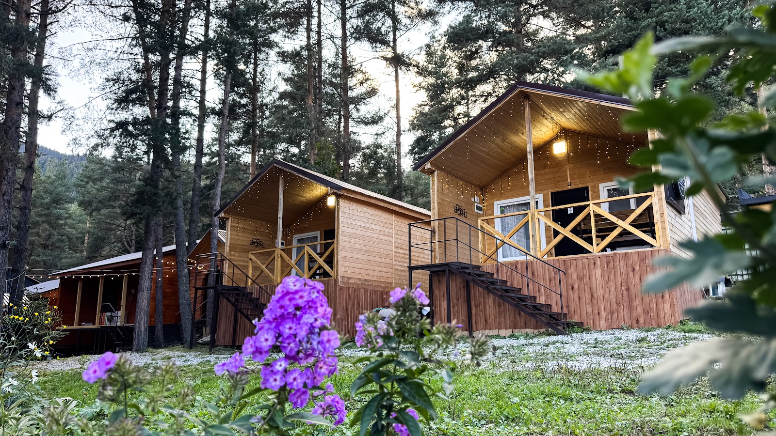 Перезагрузка - photo 2