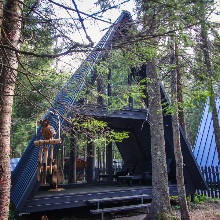 ЁLKI House - Новожилово - photo 3