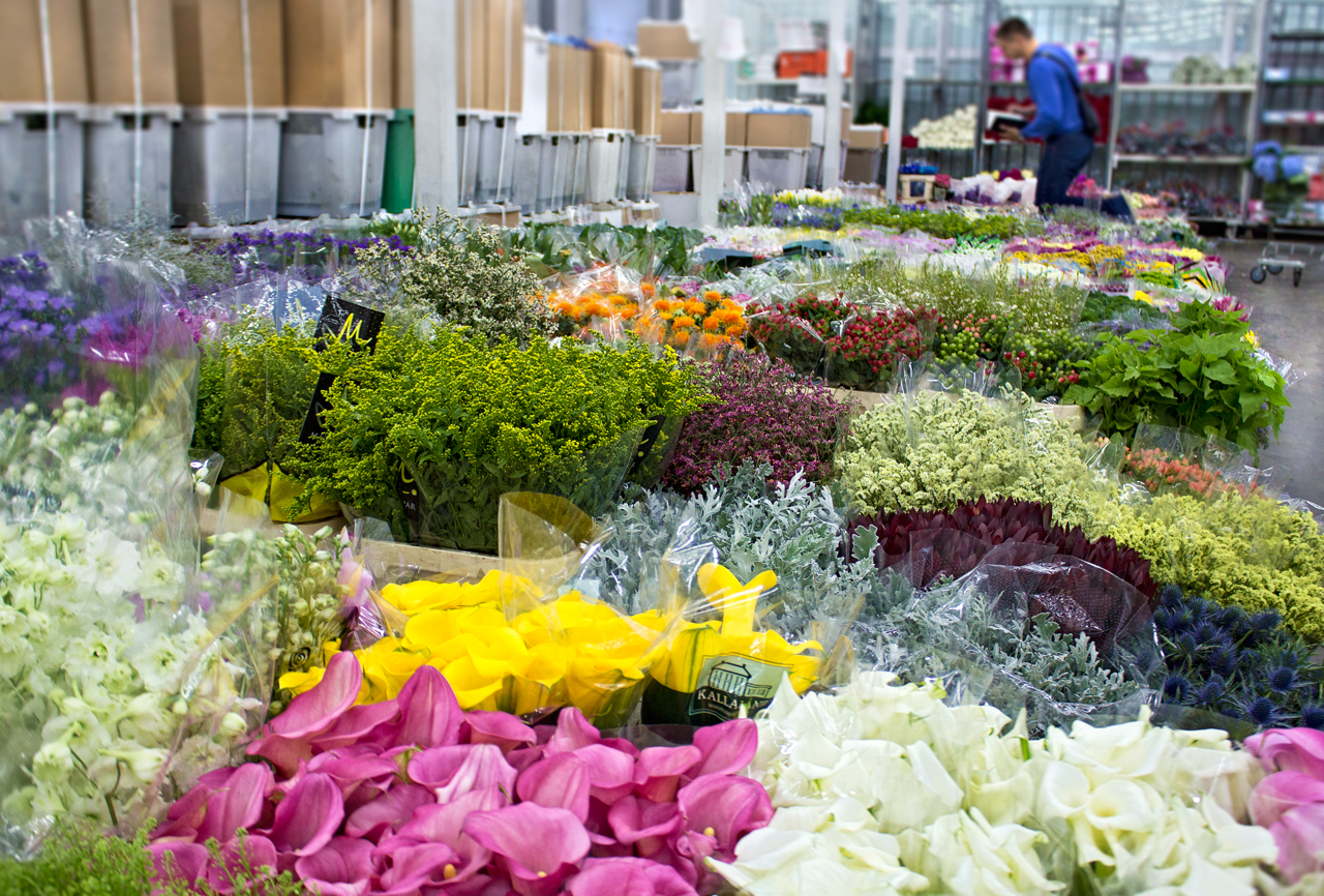 База Фантазия - photo 4