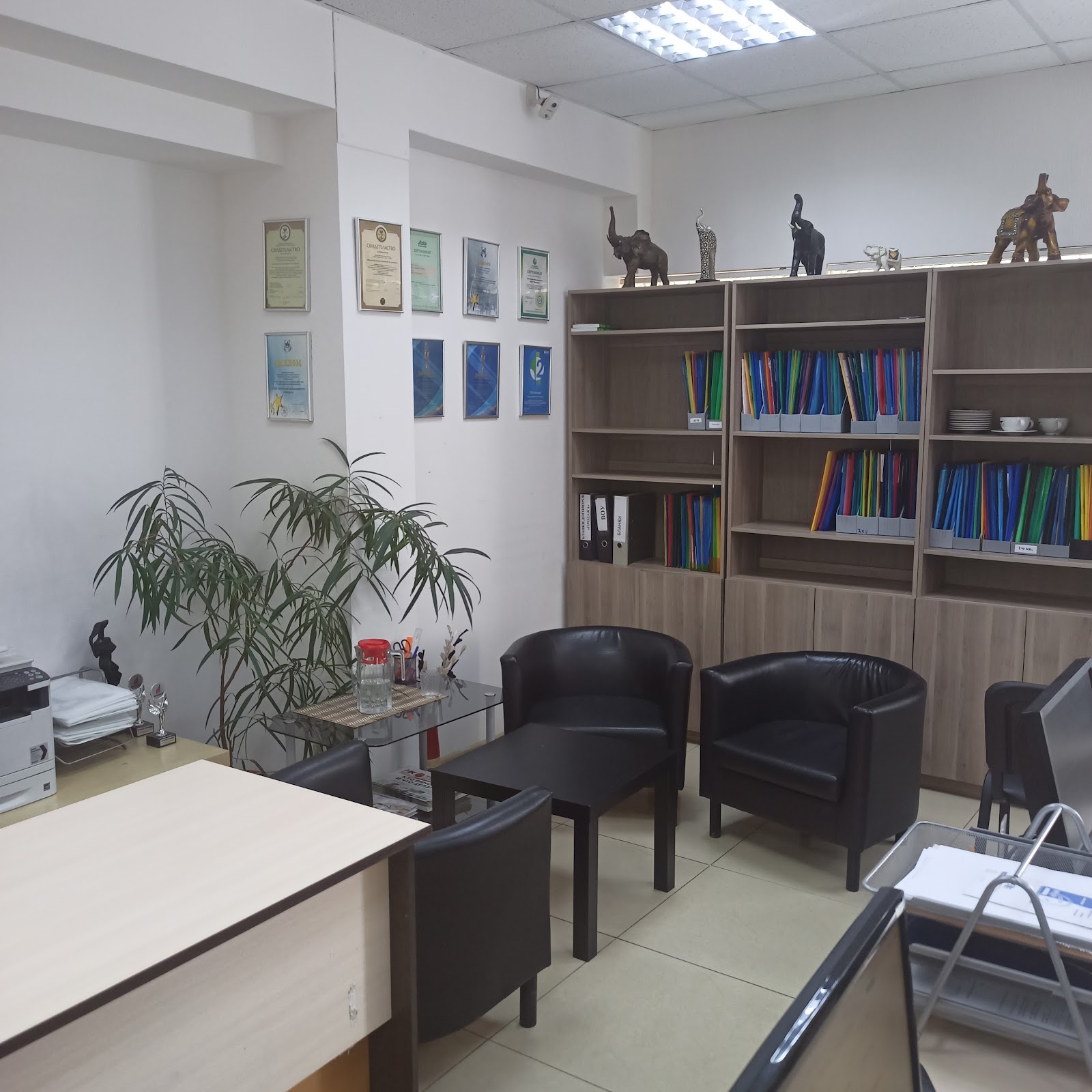 Находка - photo 3